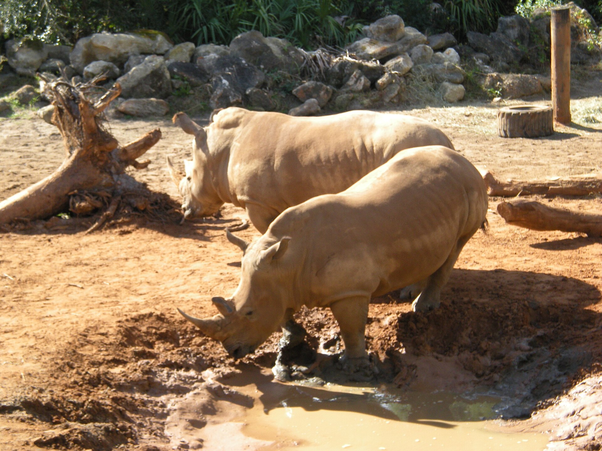 Brevard Zoo