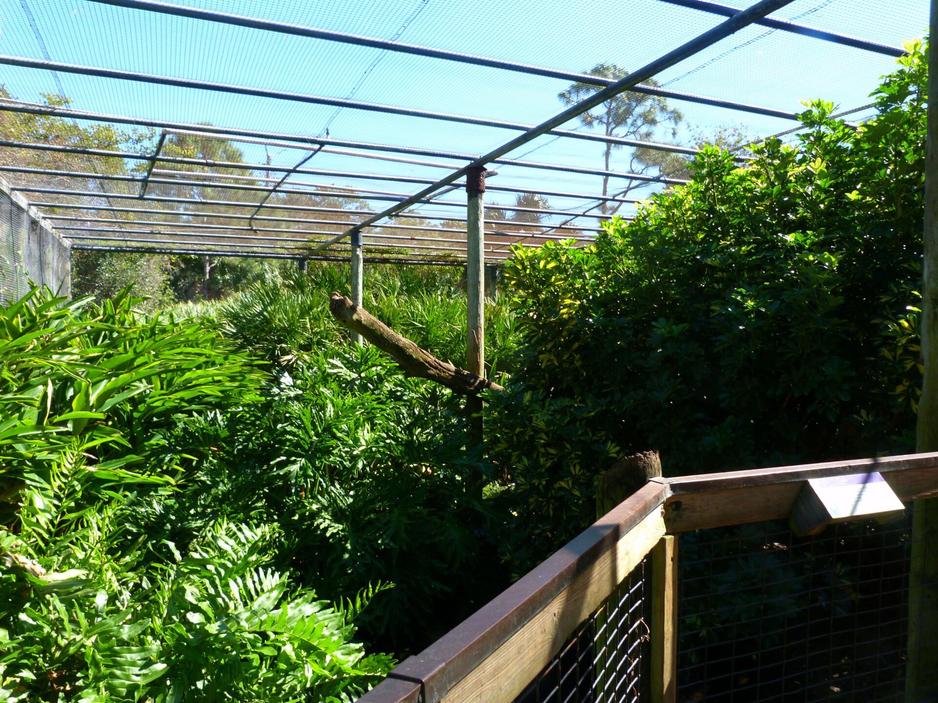 Brevard Zoo