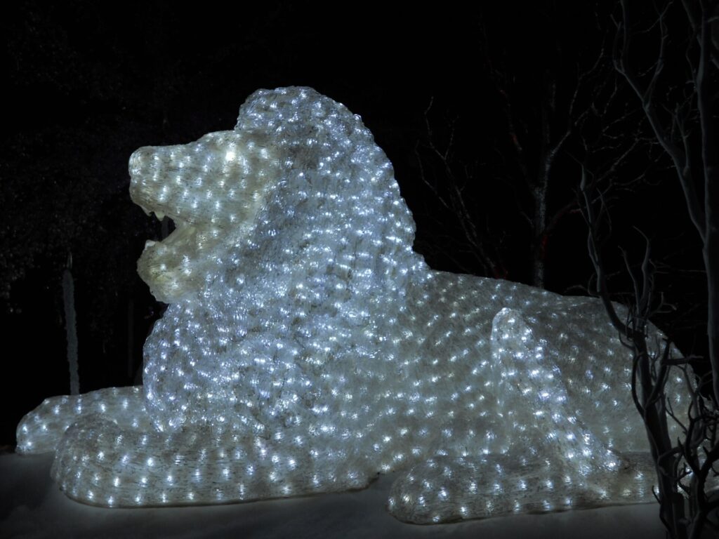 Christmas in the Wild at ZooTampa at Lowry Park
