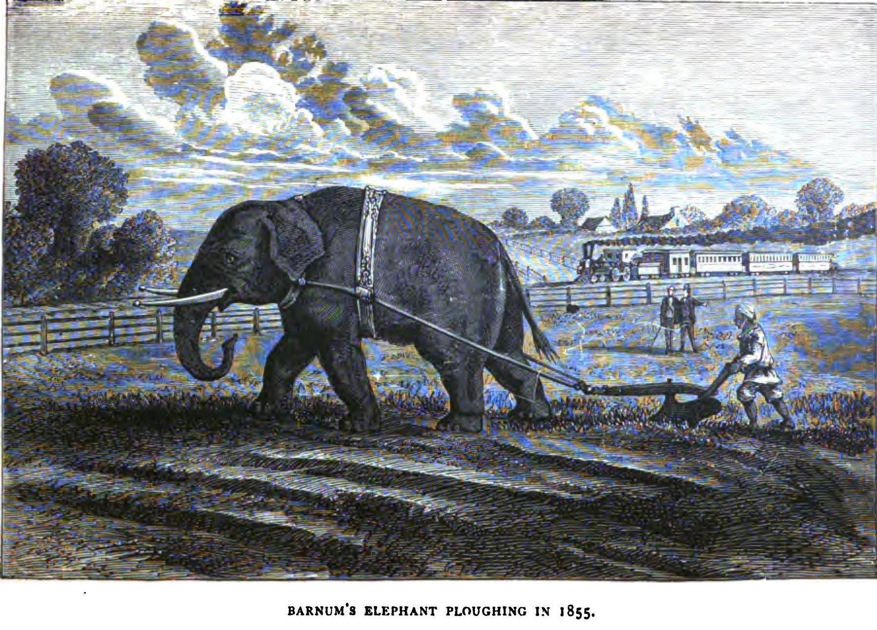 Connecticut's Beardsley Zoo