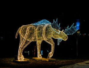 Dallas Zoo Lights at Dallas Zoo