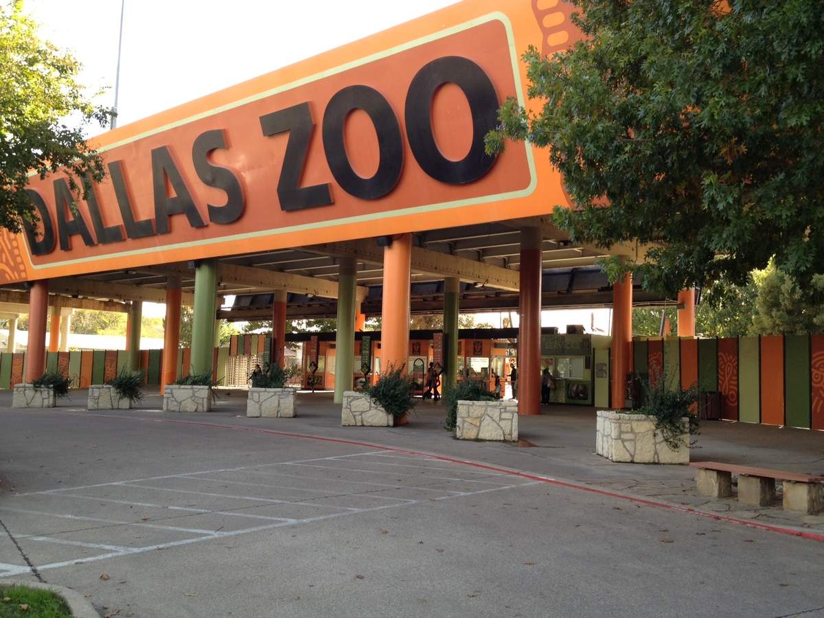 Dallas Zoo Lights Presented by Reliant at Dallas Zoo
