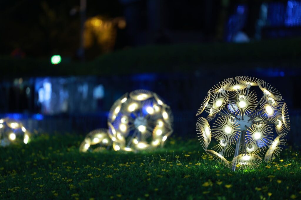 Enchanted Forest of Light at Descanso Gardens
