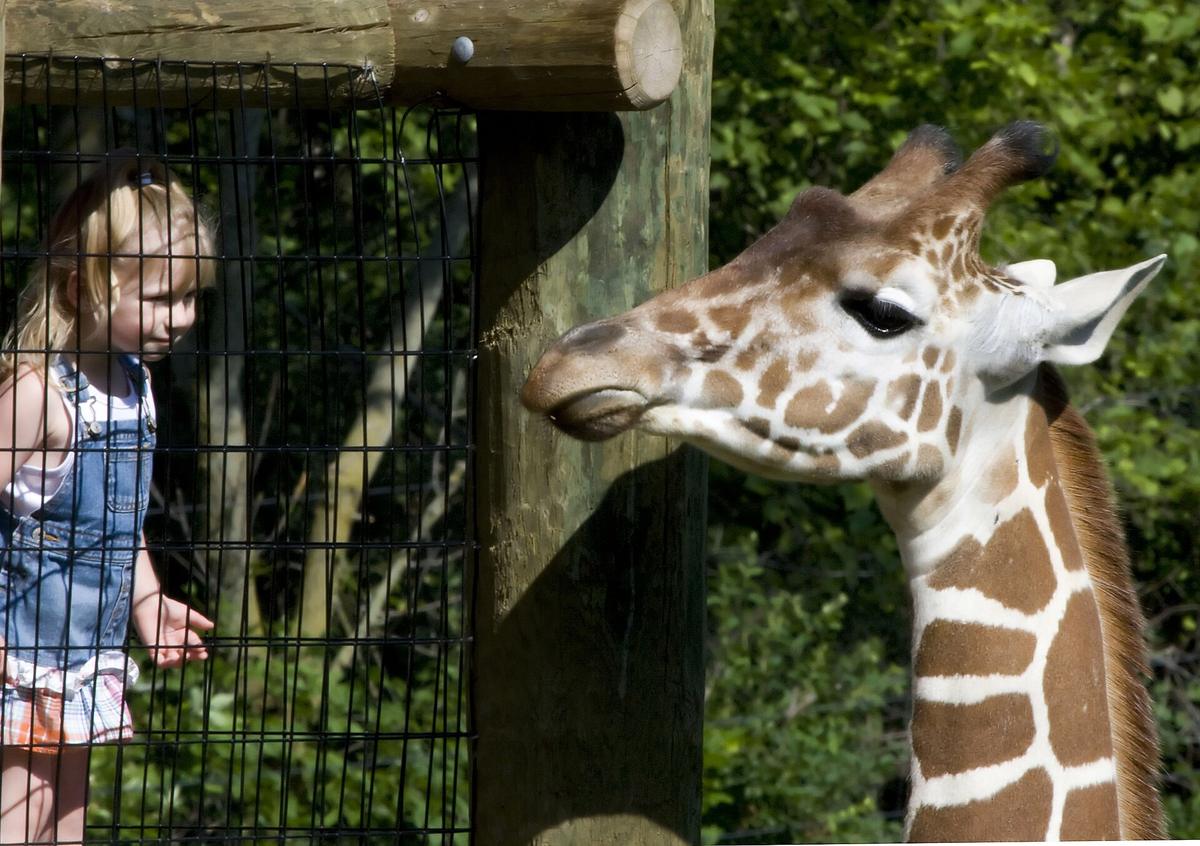 Fort Wayne Children's Zoo