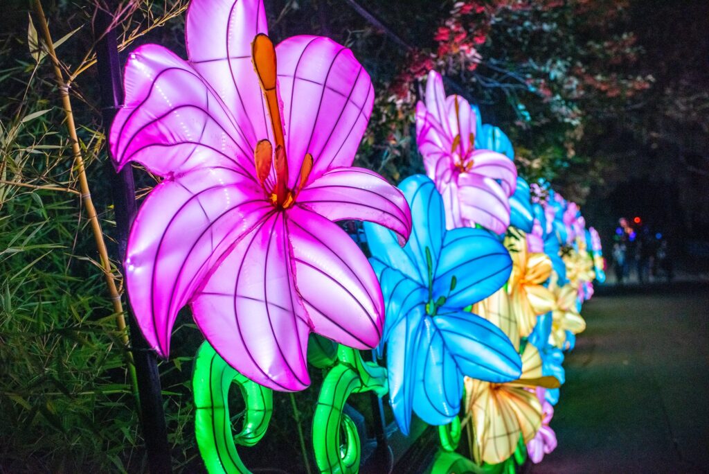 Glowfari at Oakland Zoo