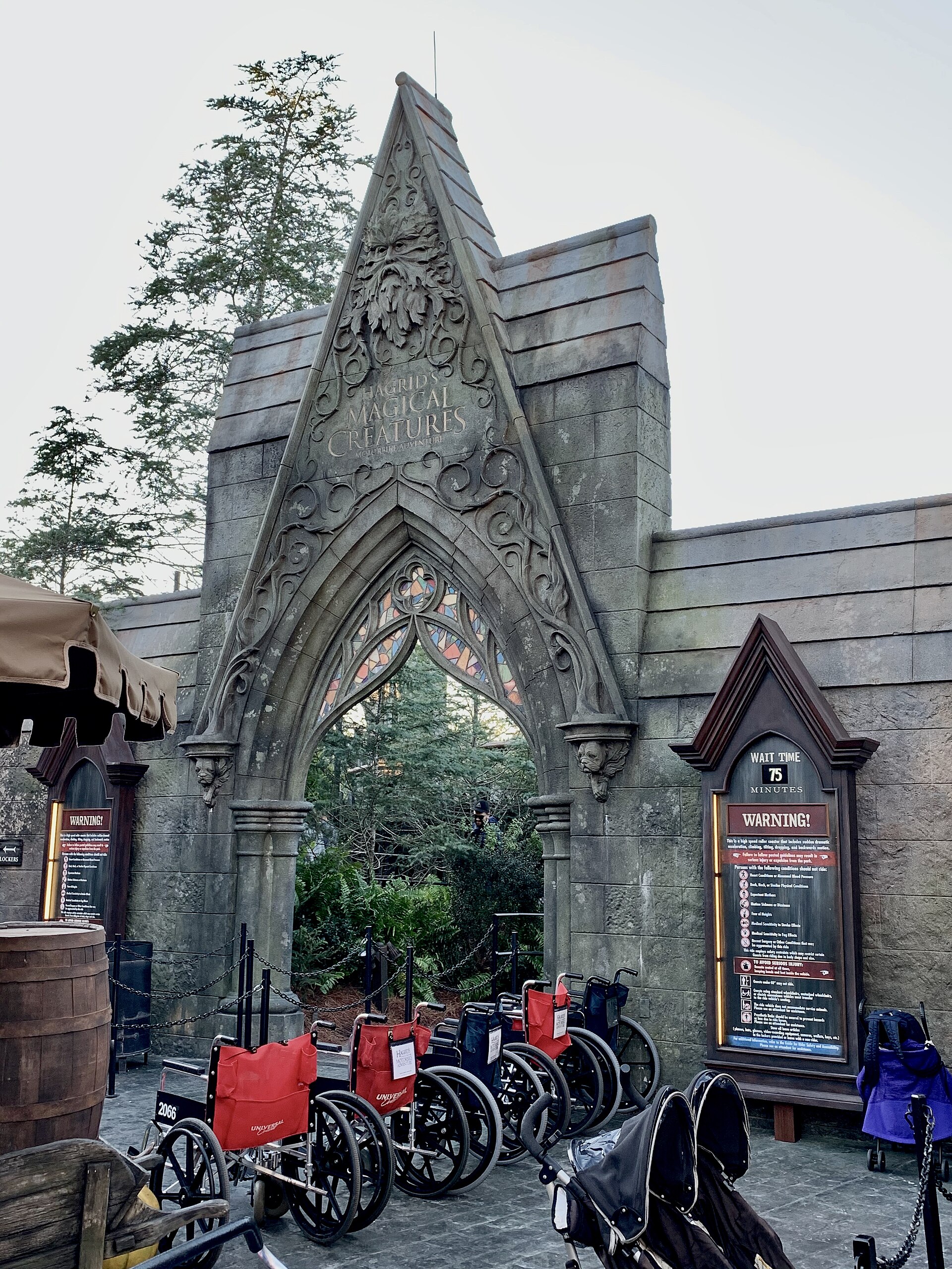 Hagrid's Magical Creatures Motorbike Adventure at Universal's Islands of Adventure