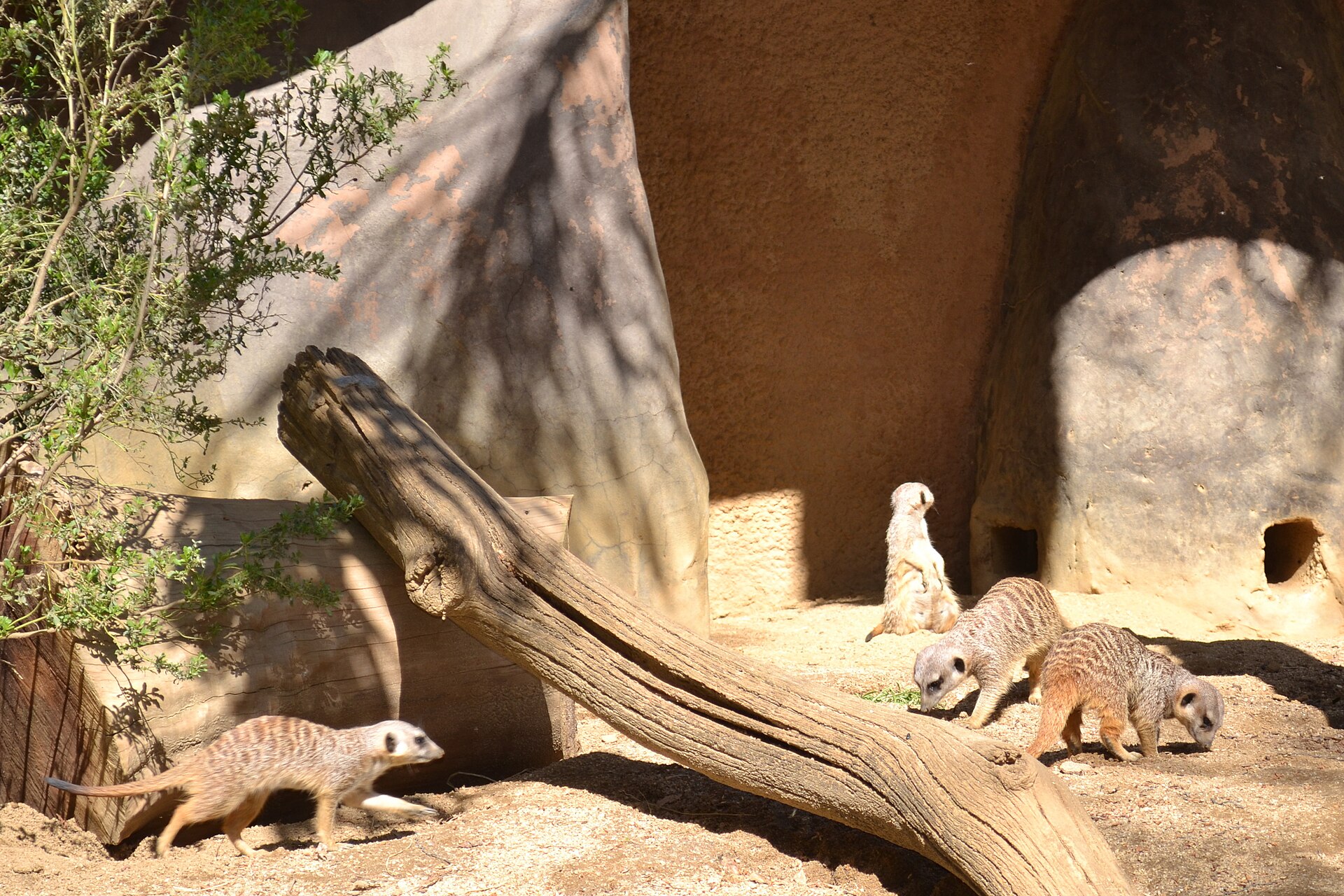 Happy Hollow Park & Zoo