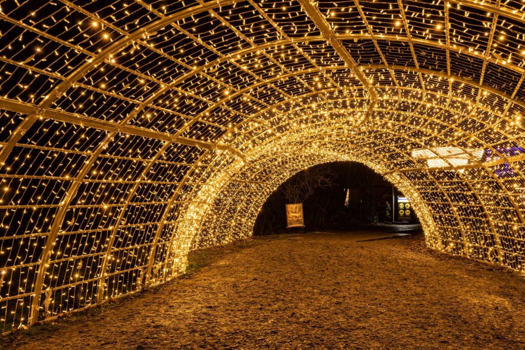 Holiday LIGHTS at Cheekwood