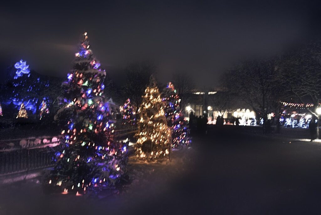 Holiday Magic at Brookfield Zoo Chicago