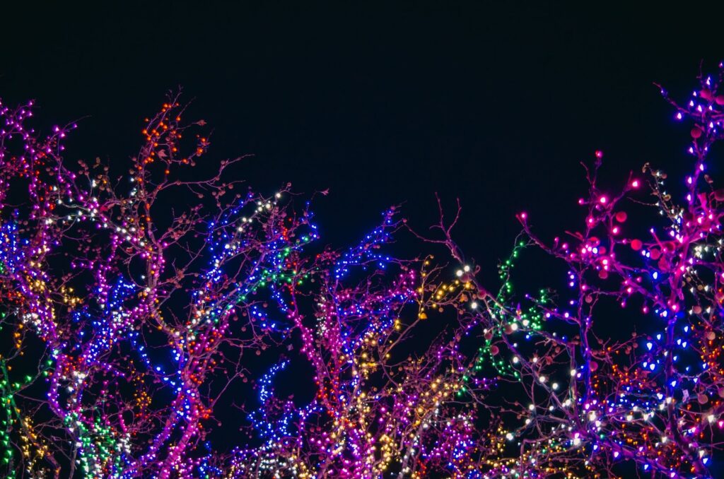 Holidays at the Garden at Daniel Stowe Botanical Garden
