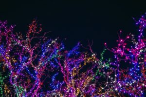 Holidays at the Garden at Daniel Stowe Botanical Garden