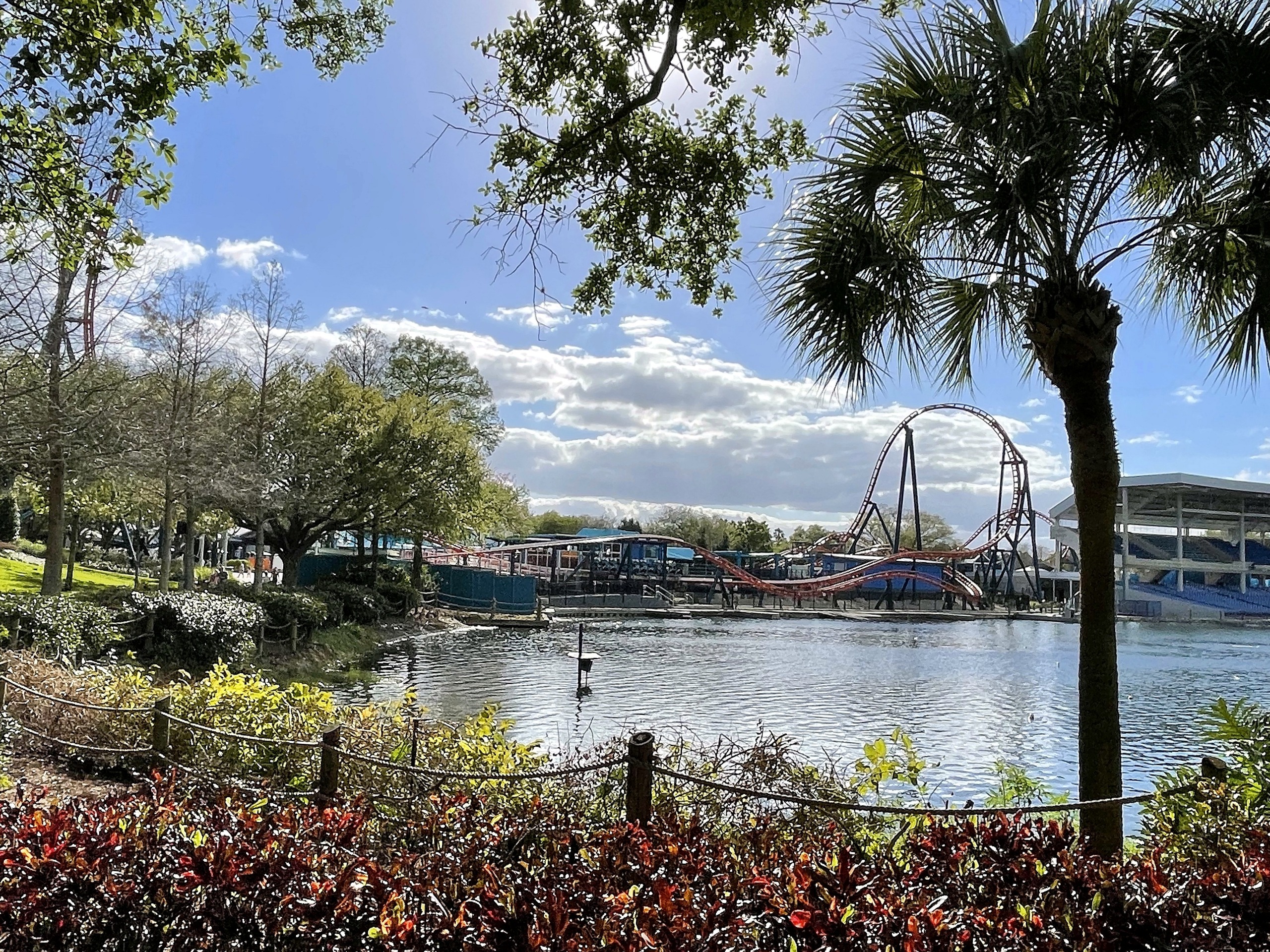 Ice Breaker's spike and top hat across the lake, framed by a palm and oak branches at SeaWorld Orlando, March 2021