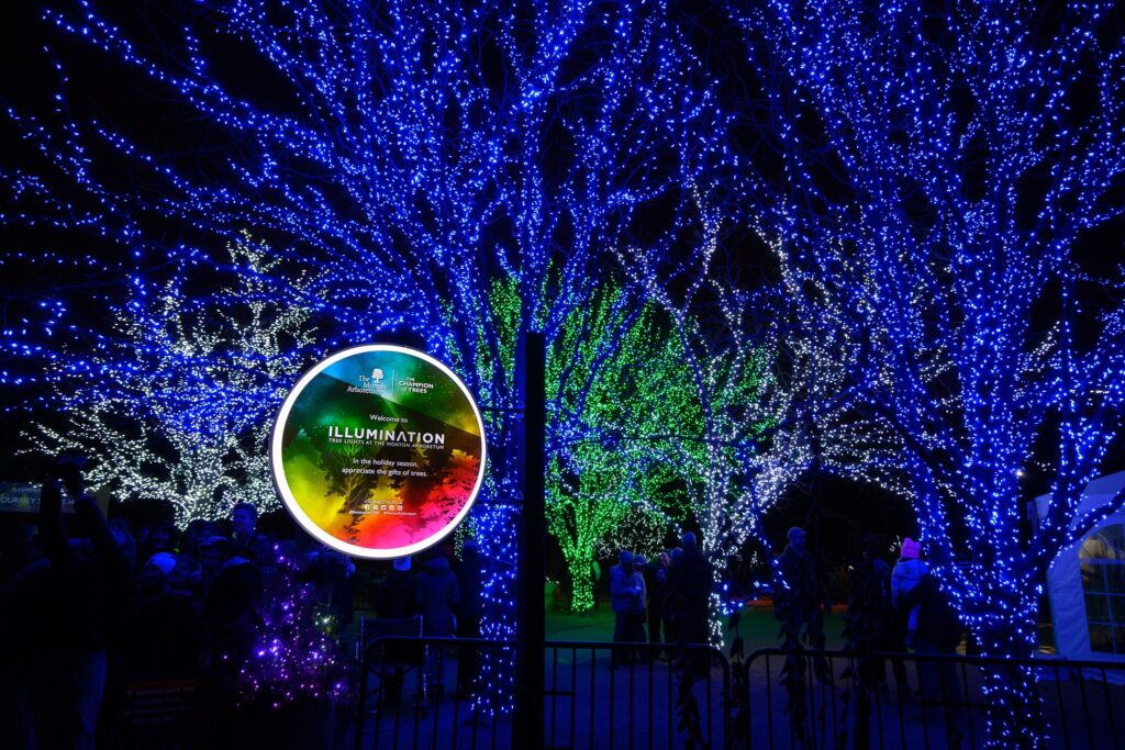 Illumination at Morton Arboretum
