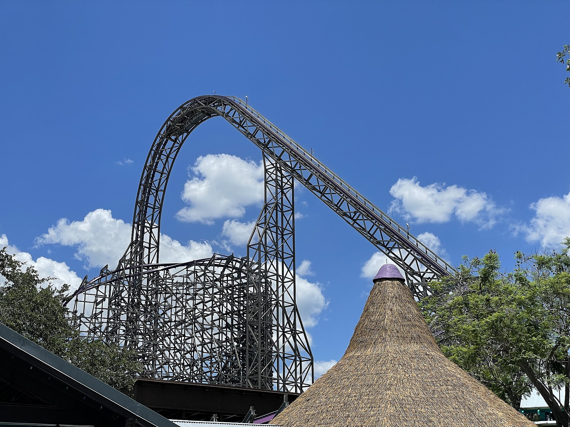 Iron Gwazi at Busch Gardens Tampa Bay