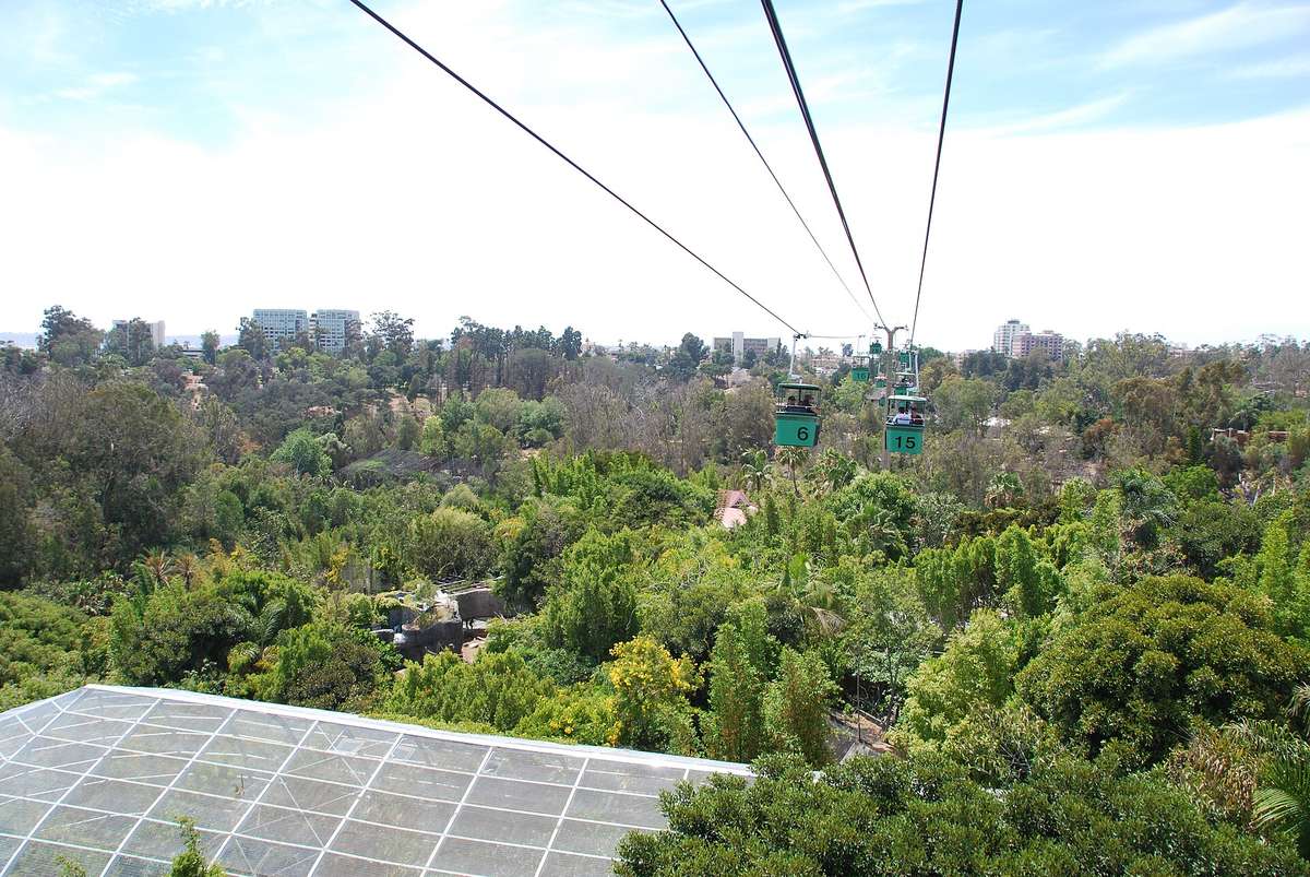 Jungle Bells 2026 at San Diego Zoo