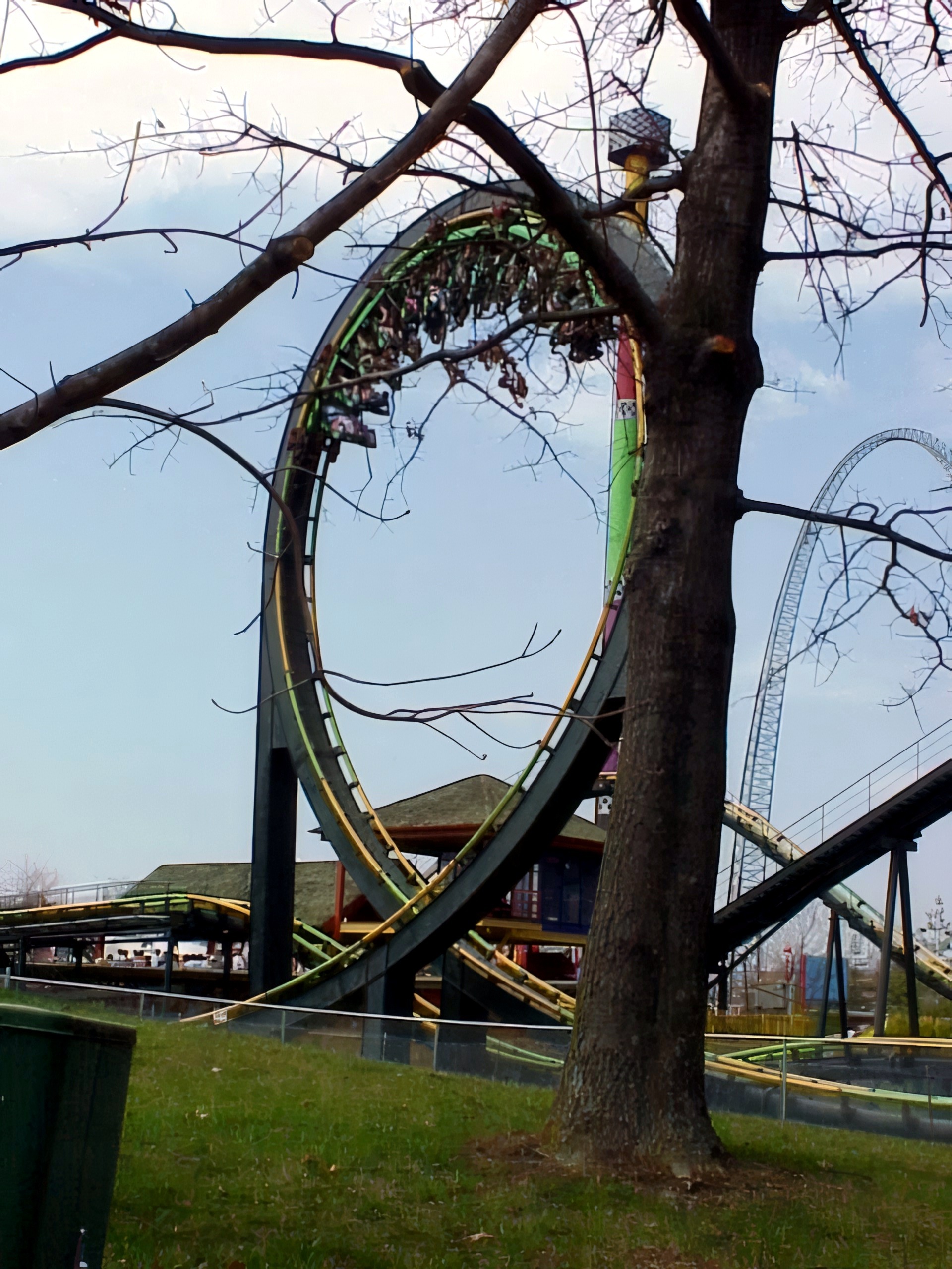 A King Cobra train upside down in the vertical loop seen through tree branches at Paramount's Kings Island, April 2001