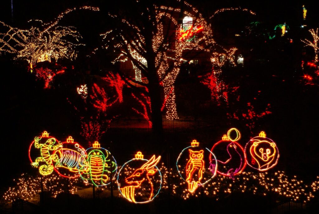 Lights Before Christmas at Toledo Zoo