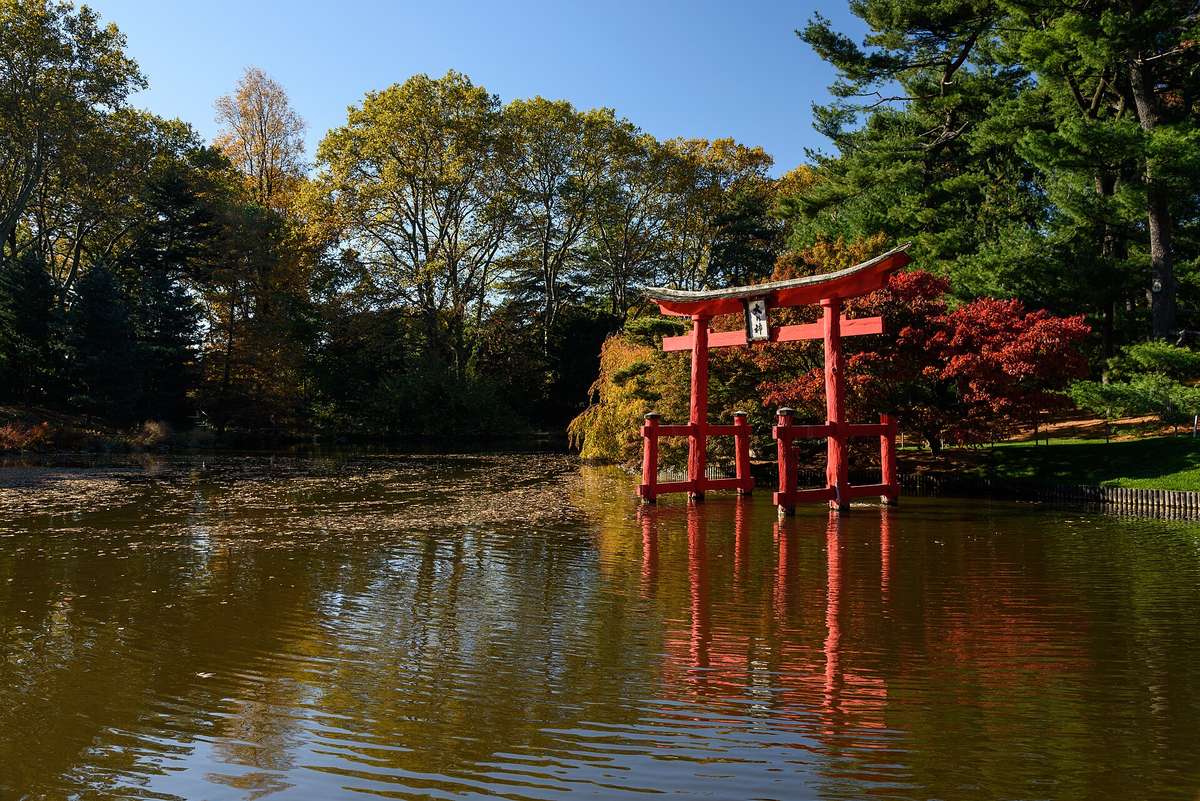 Lightscape 2026-2027 at Brooklyn Botanic Garden