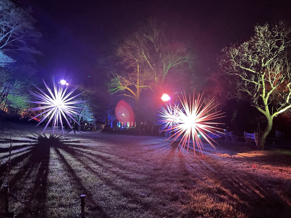 Lightscape at Brooklyn Botanic Garden