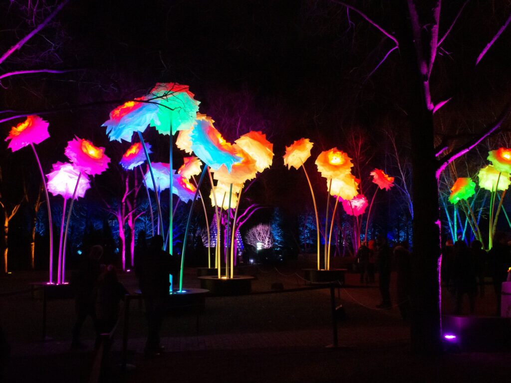 Lightscape at Chicago Botanic Garden
