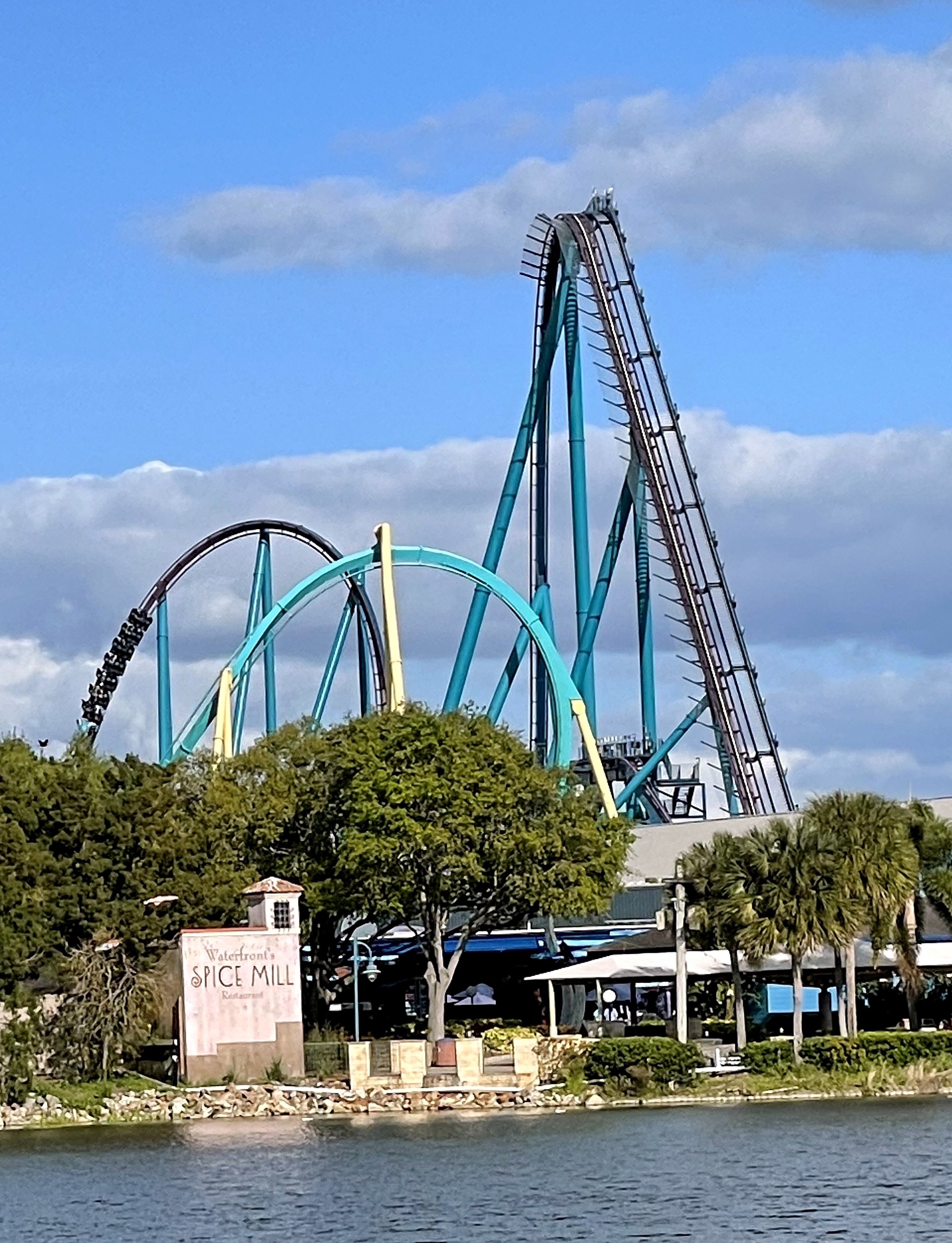 Mako's lift hill rising over the trees behind Kraken's teal loop across the lake at SeaWorld Orlando, March 2021