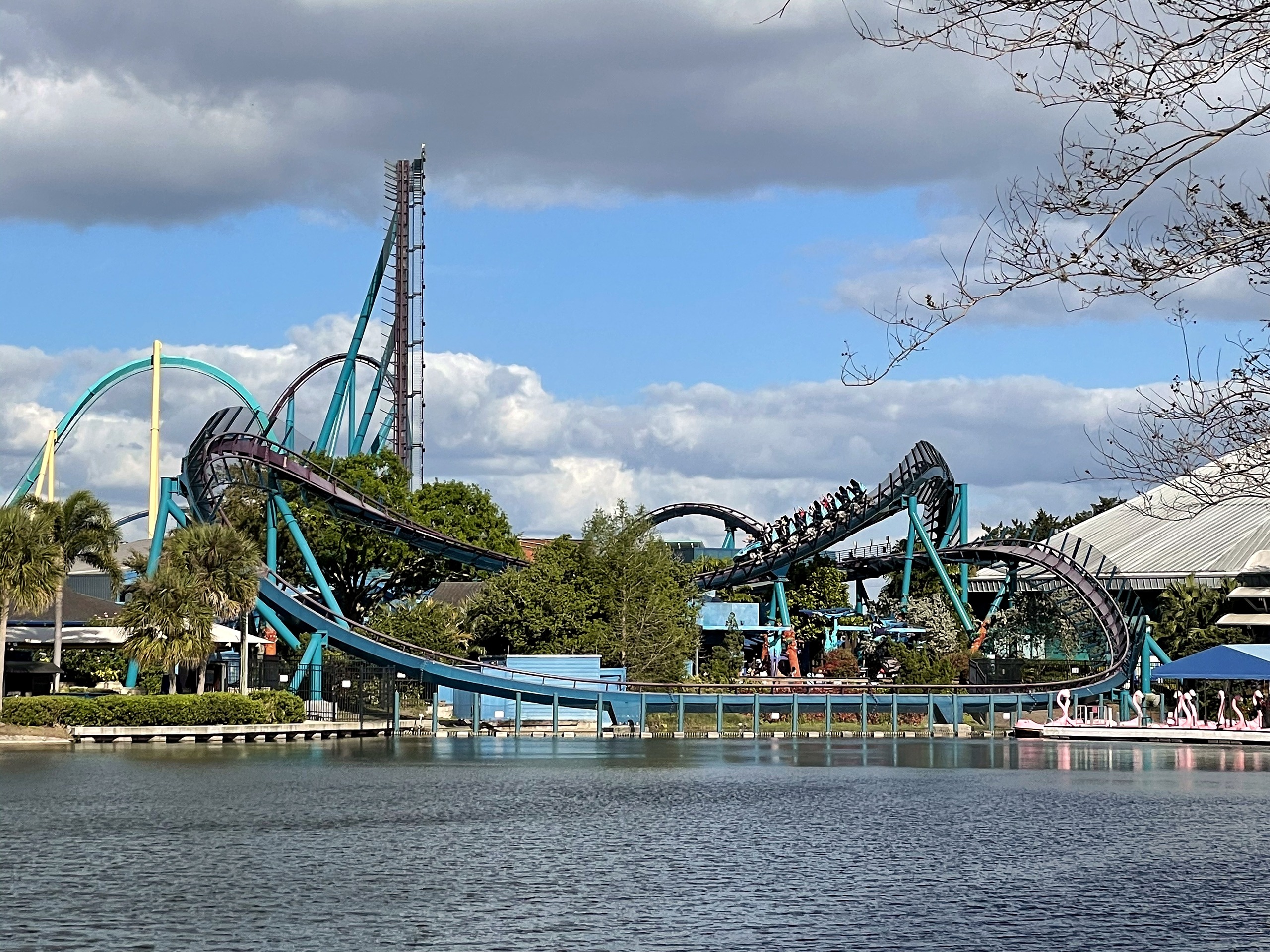 A Mako train on the far section of track across the lake with the lift hill behind at SeaWorld Orlando, March 2021