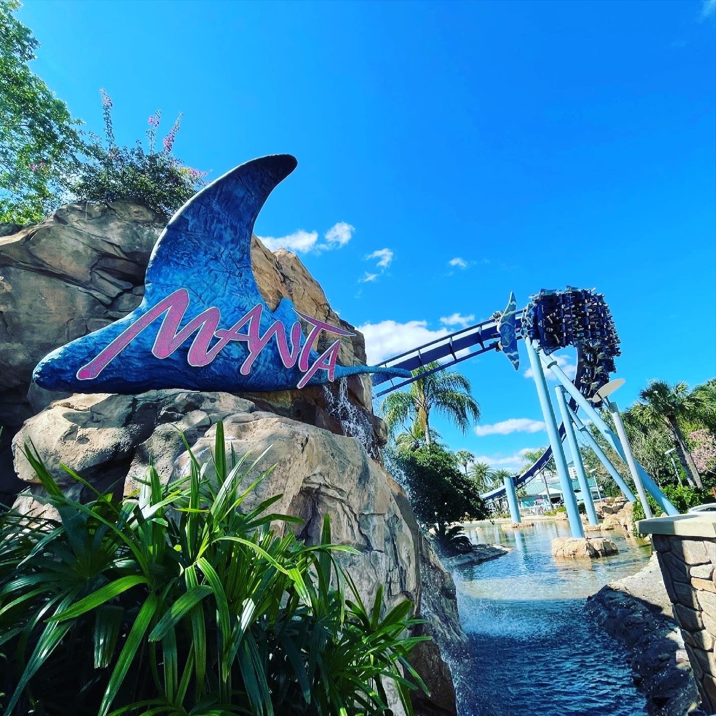 The Manta entrance sign on its rockwork waterfall with a train flying through the pretzel loop above the lagoon at SeaWorld Orlando, March 2021