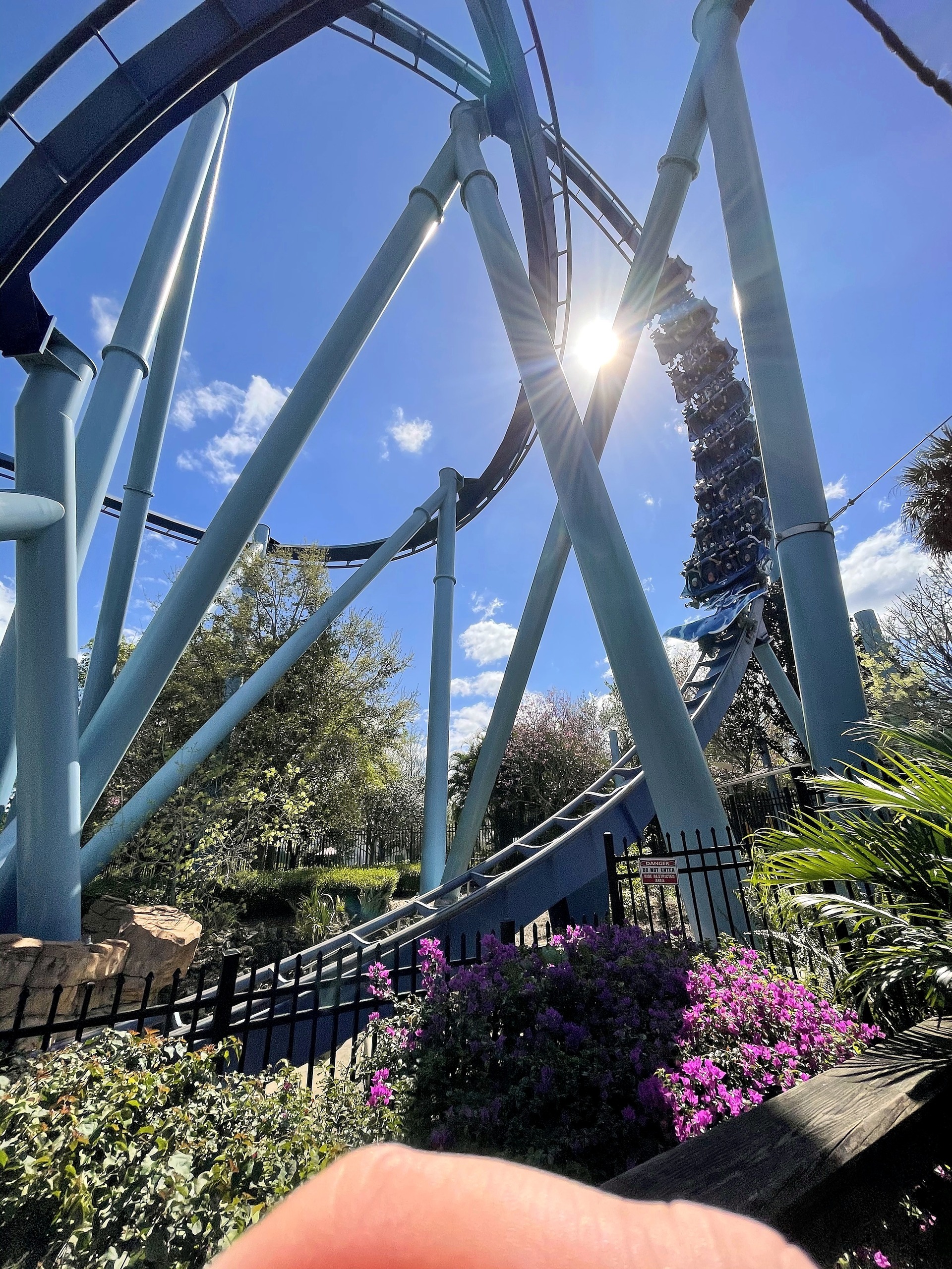 A Manta train diving through the light blue supports above the purple flowers at SeaWorld Orlando, March 2021
