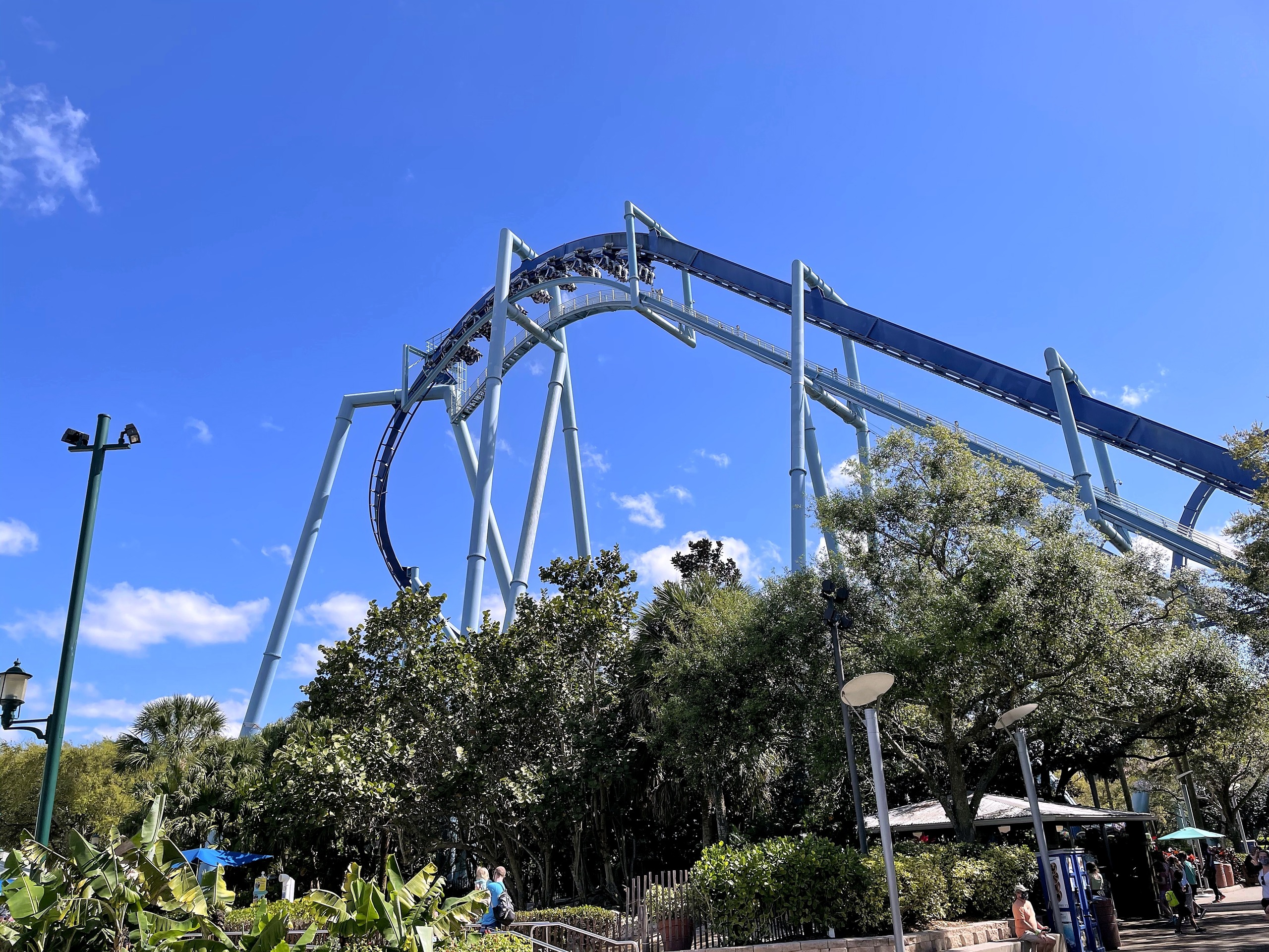 A Manta train cresting the loop above the trees from the midway at SeaWorld Orlando, March 2021