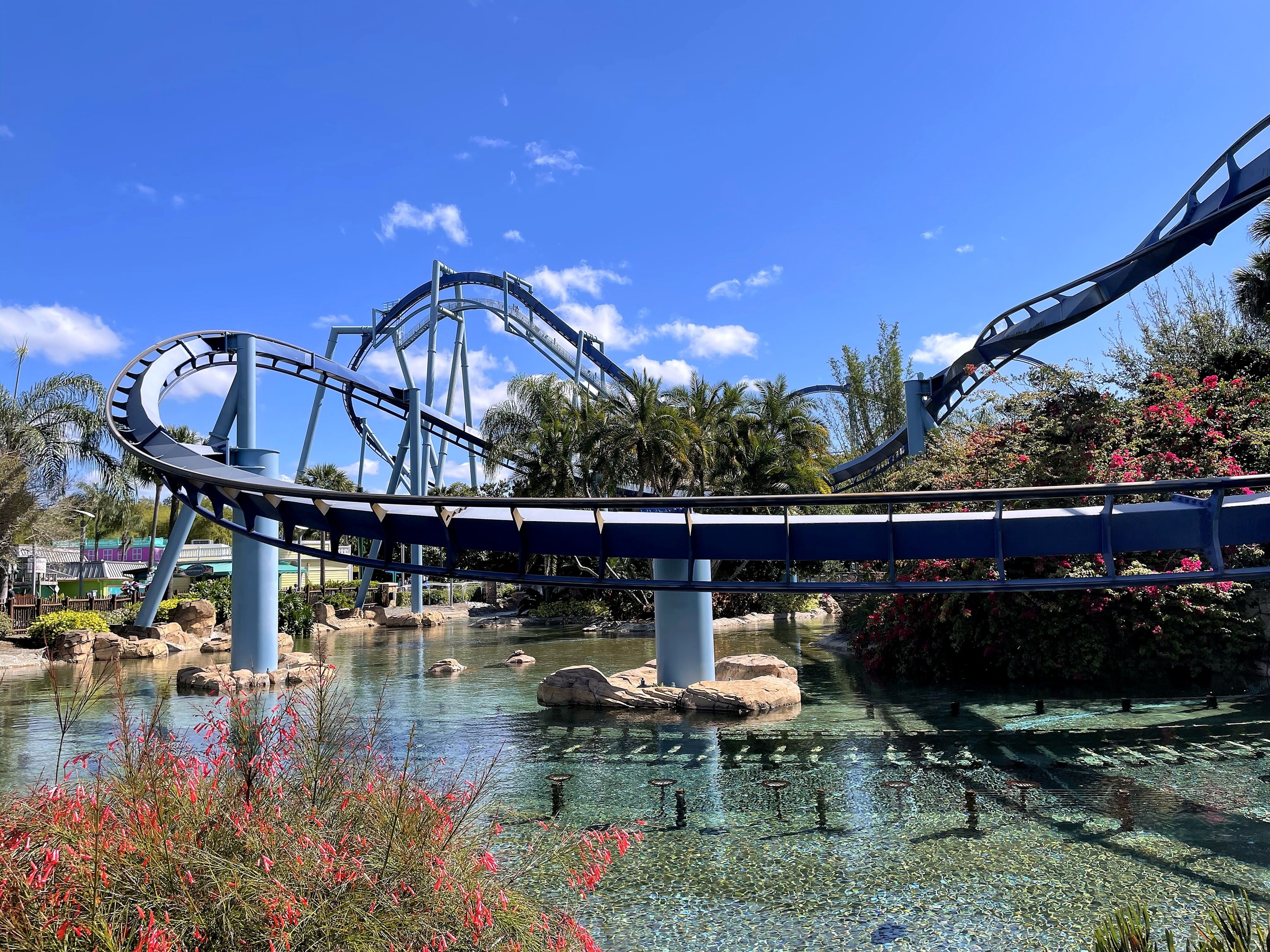 Manta's track sweeping over the lagoon with pink flowers in the foreground at SeaWorld Orlando, March 2021