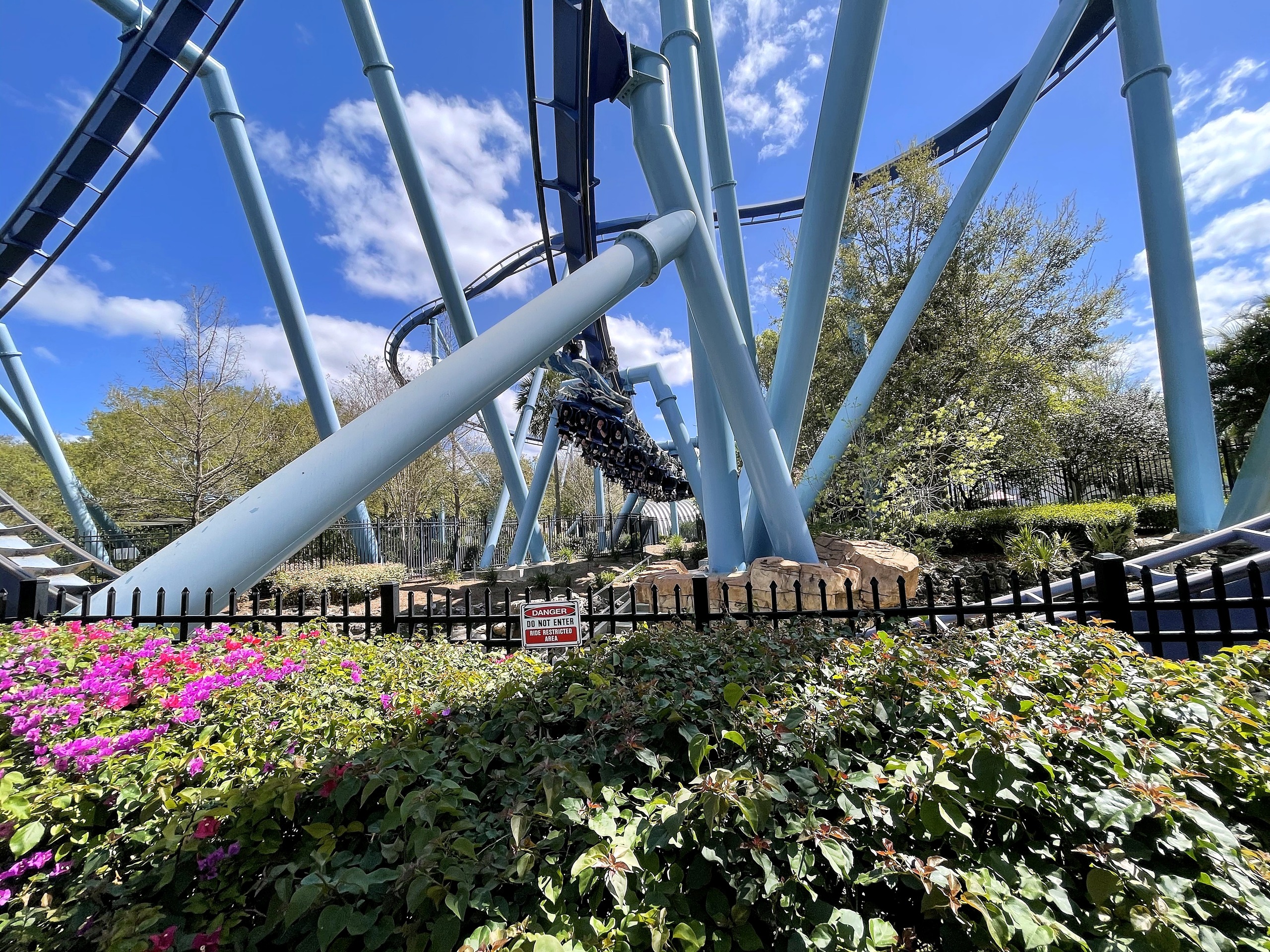 A Manta train passing through the light blue support structure with pink flowers and the fence in the foreground at SeaWorld Orlando, March 2021