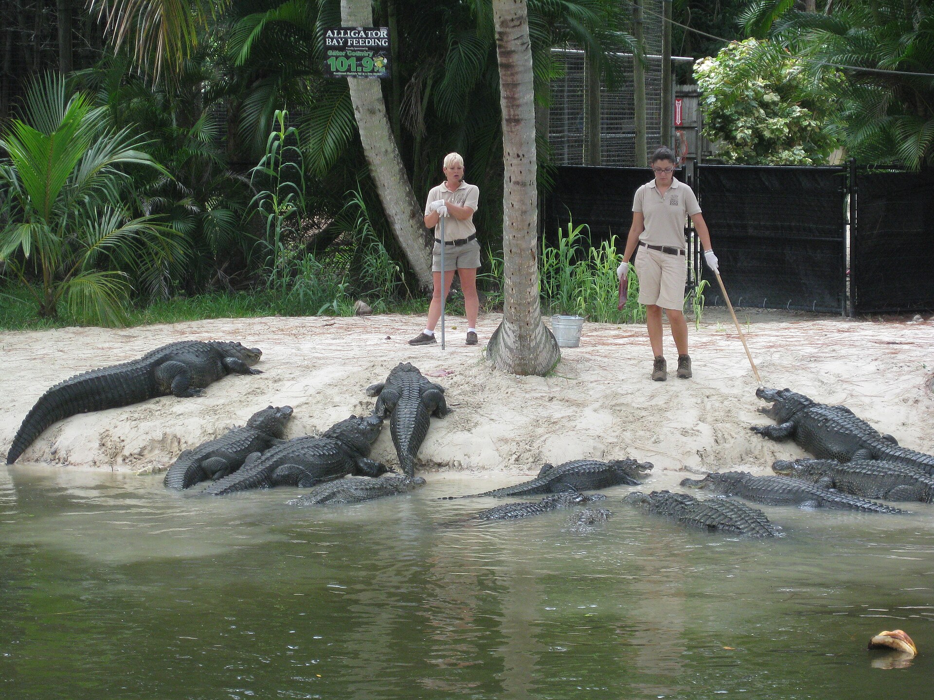 Naples Zoo