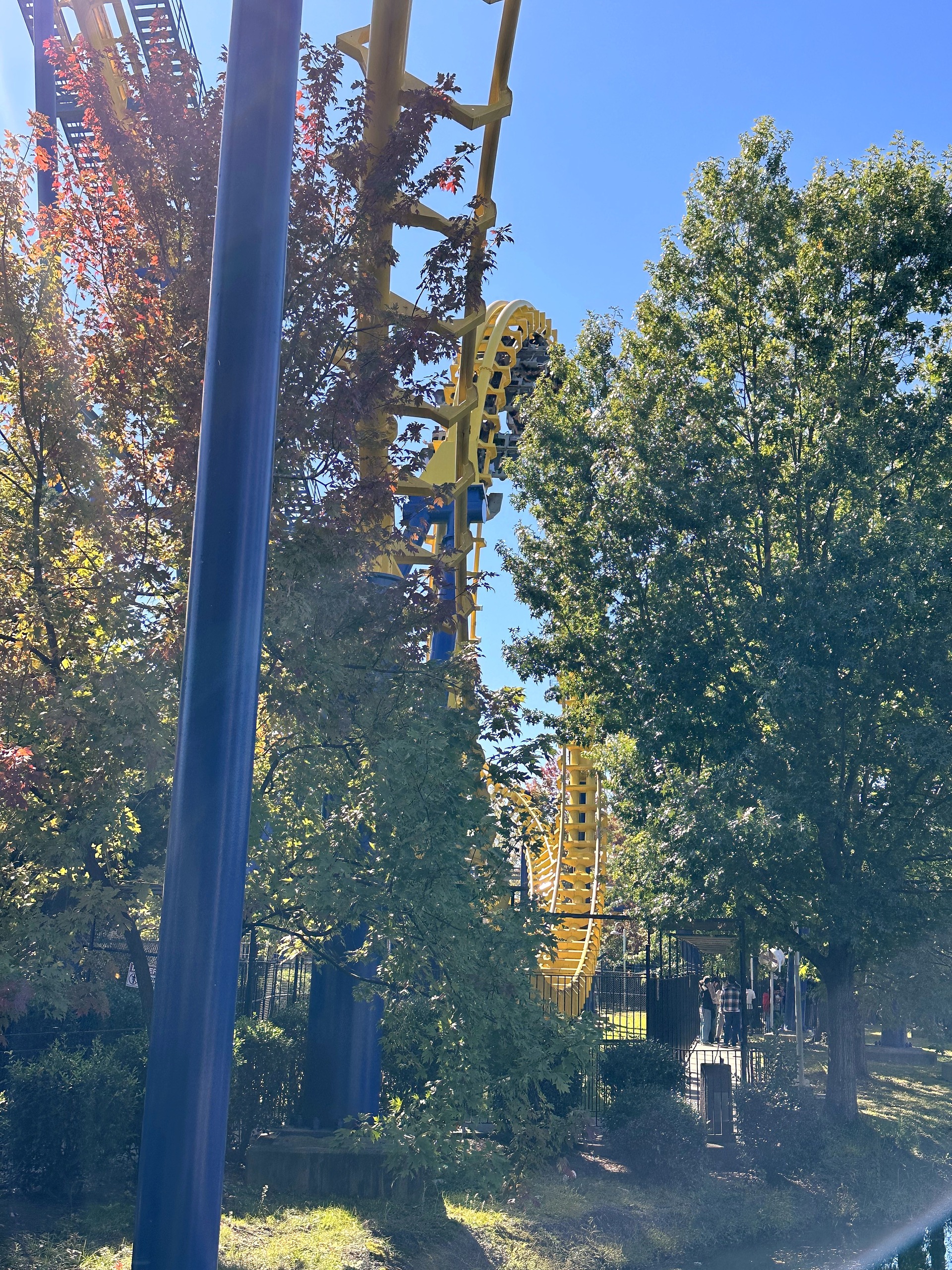 A Nighthawk train on the yellow track through the trees at Carowinds, October 2024