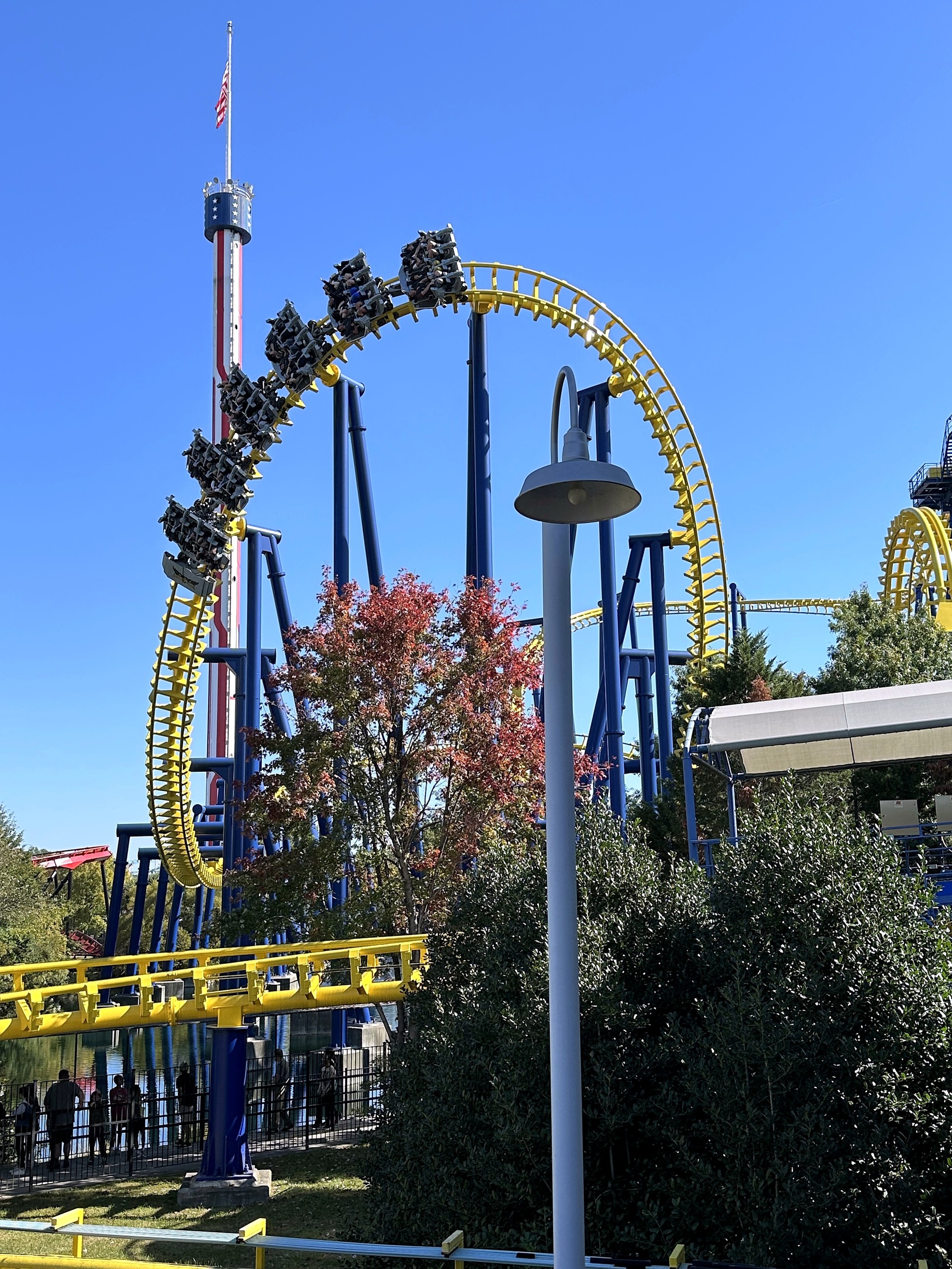 A Nighthawk train descending the back half of the vertical loop at Carowinds, October 2024