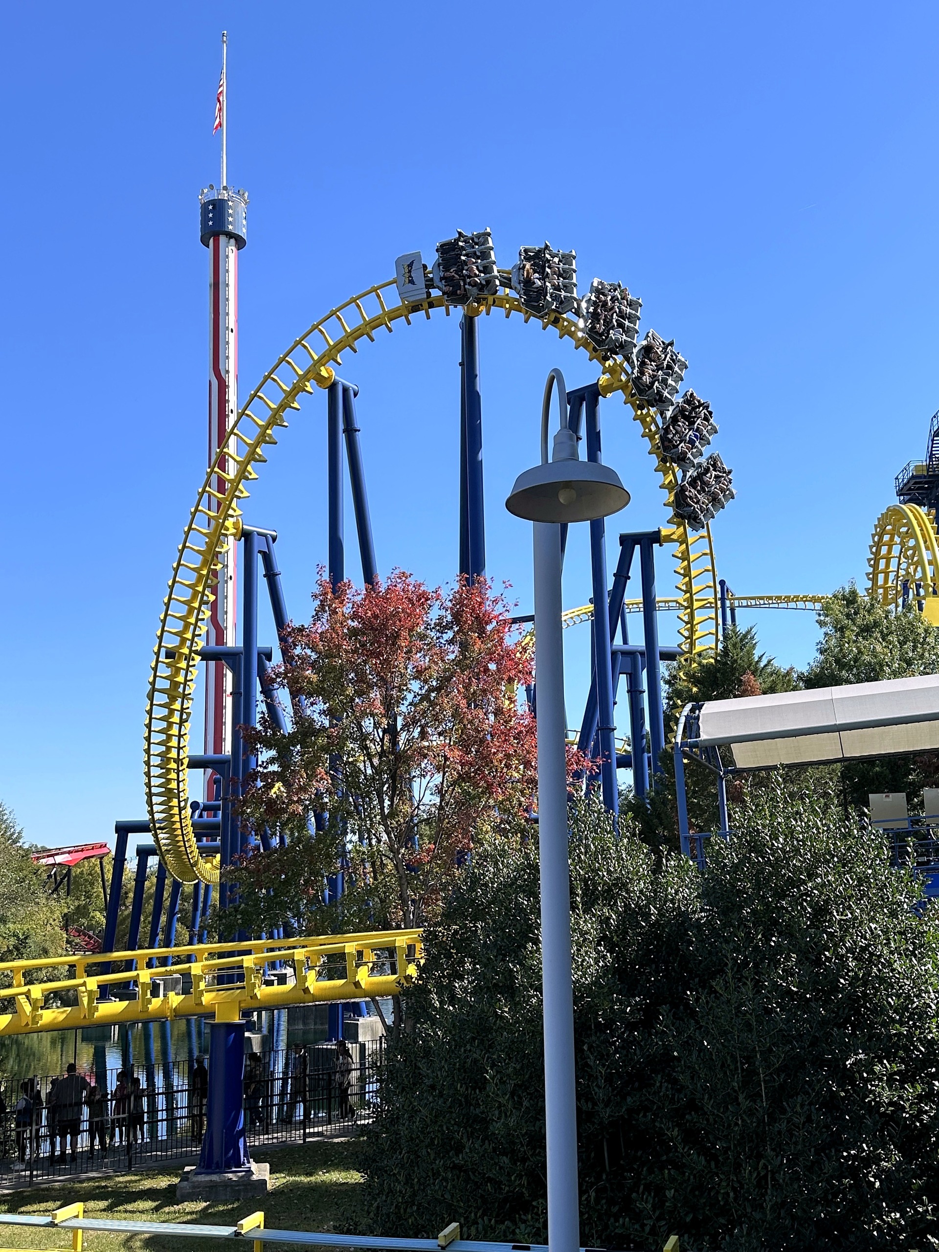 A Nighthawk train riders-down at the top of the vertical loop at Carowinds, October 2024