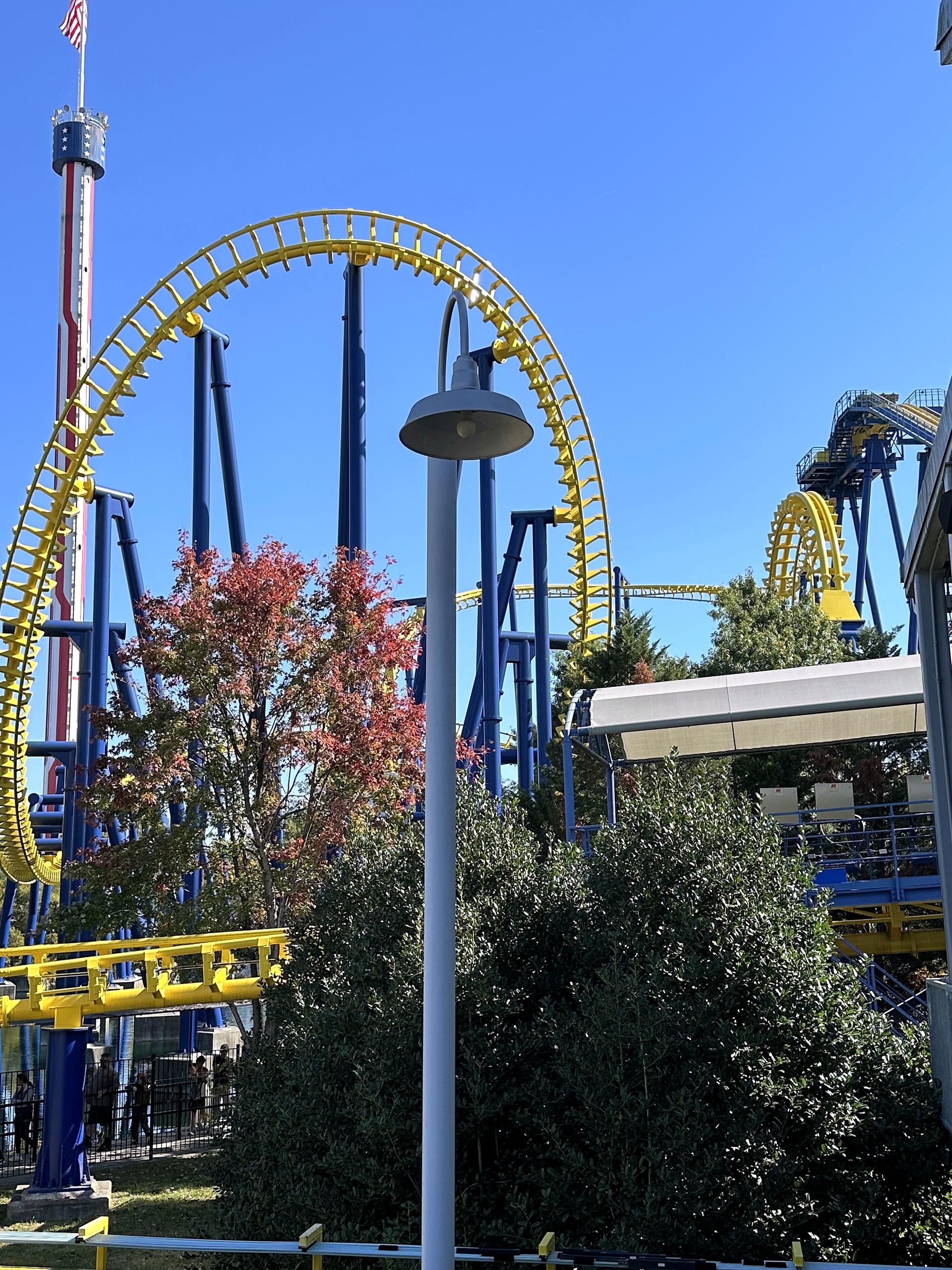 Nighthawk's yellow vertical loop with a tower behind at Carowinds, October 2024