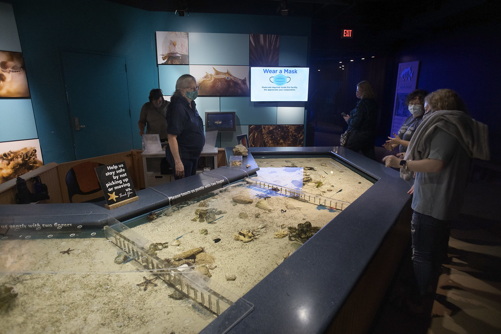 North Carolina Aquarium on Roanoke Island