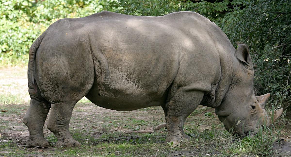 Omaha's Henry Doorly Zoo & Aquarium