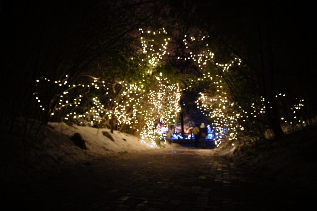PNC Festival of Lights at Cincinnati Zoo