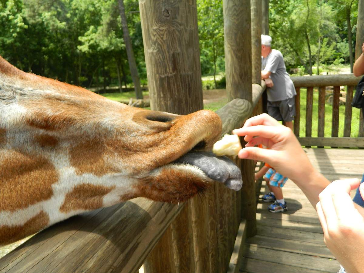 Riverbanks Zoo and Garden