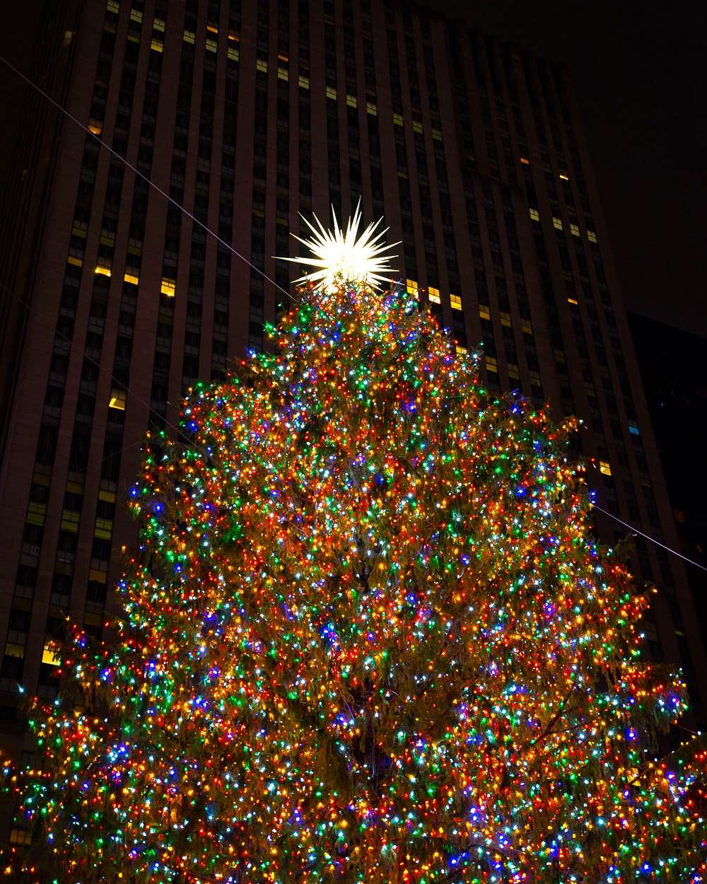 Rockefeller Center Christmas Tree