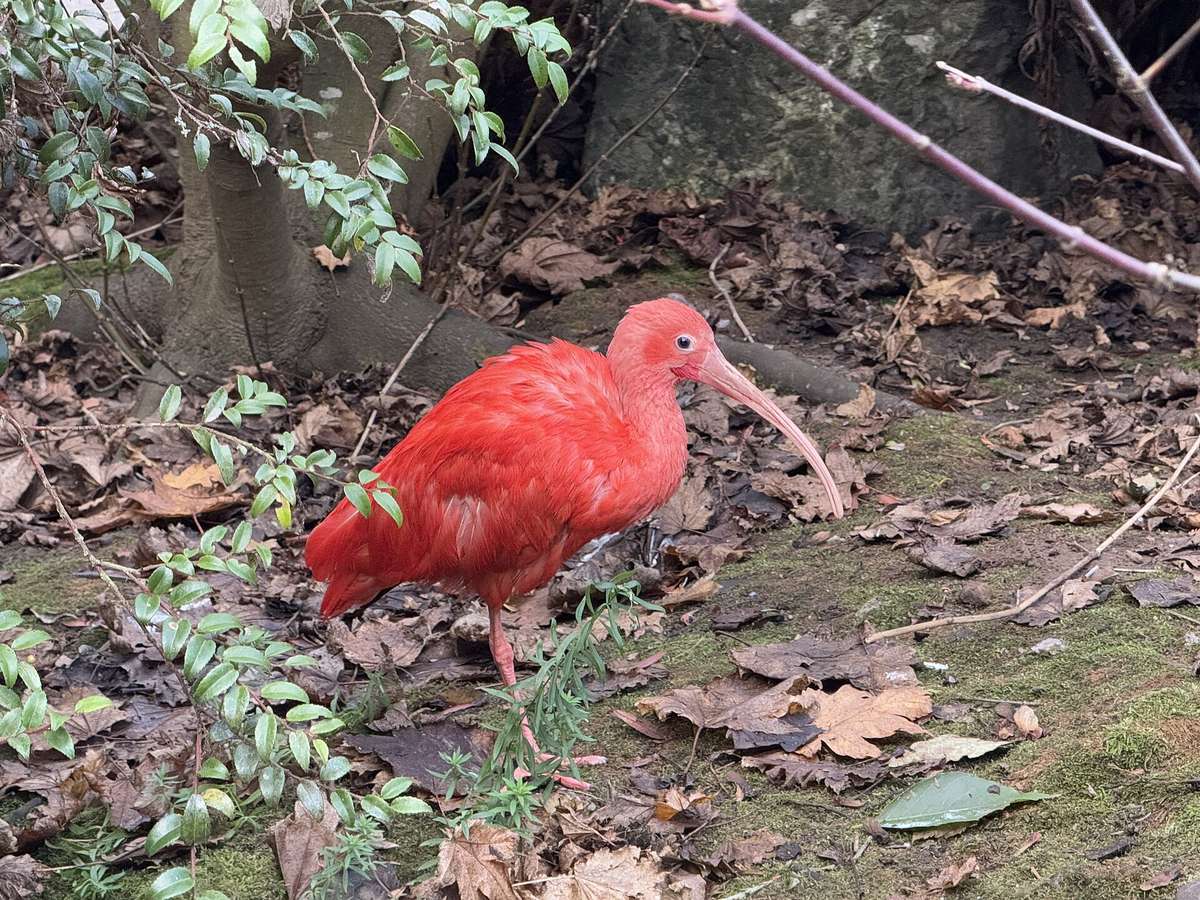 Sequoia Park Zoo