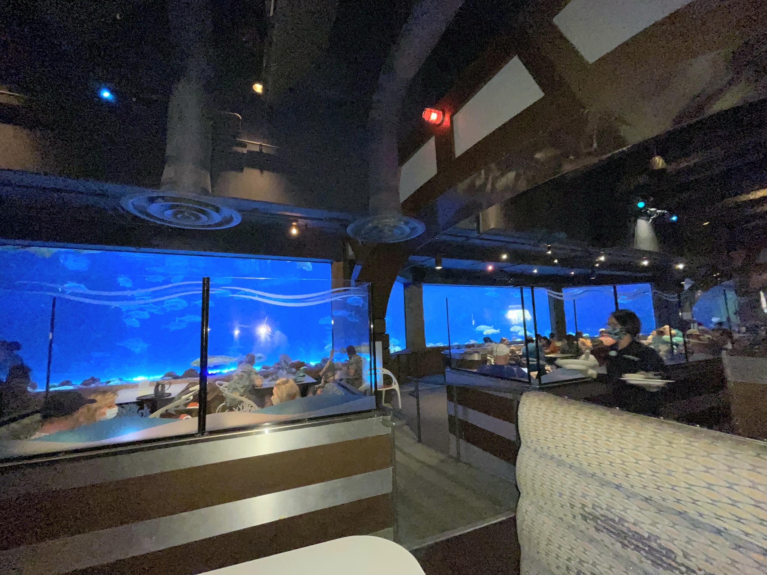 Booths at Sharks Underwater Grill in front of the blue shark tank windows at SeaWorld Orlando, March 2021