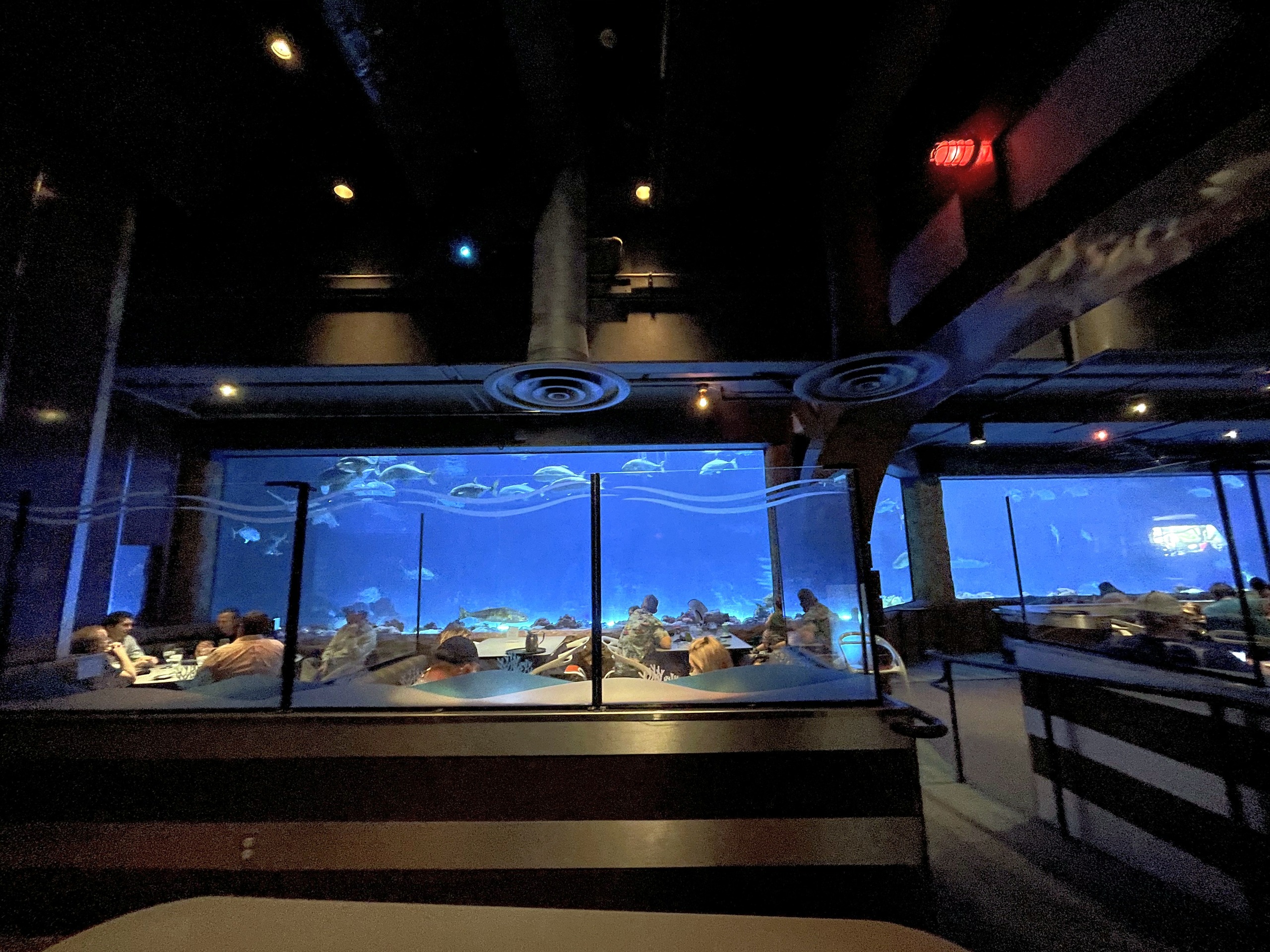 The dining room at Sharks Underwater Grill lit blue by the shark tank windows at SeaWorld Orlando, March 2021