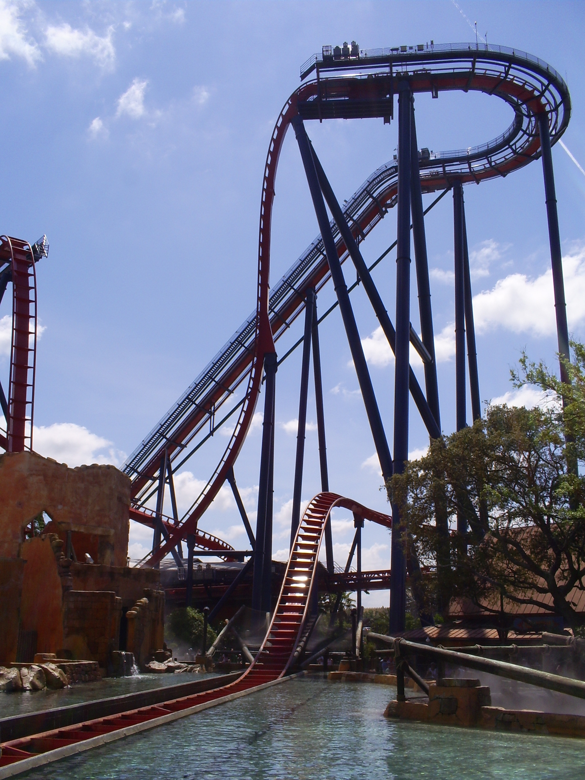 SheiKra at Busch Gardens Tampa Bay