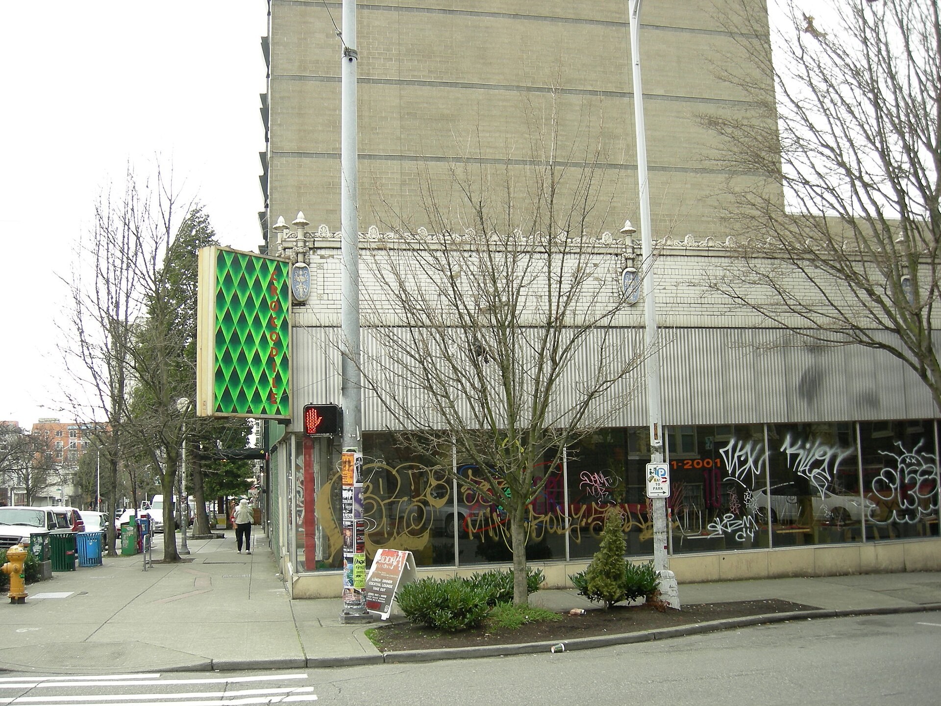 The Crocodile