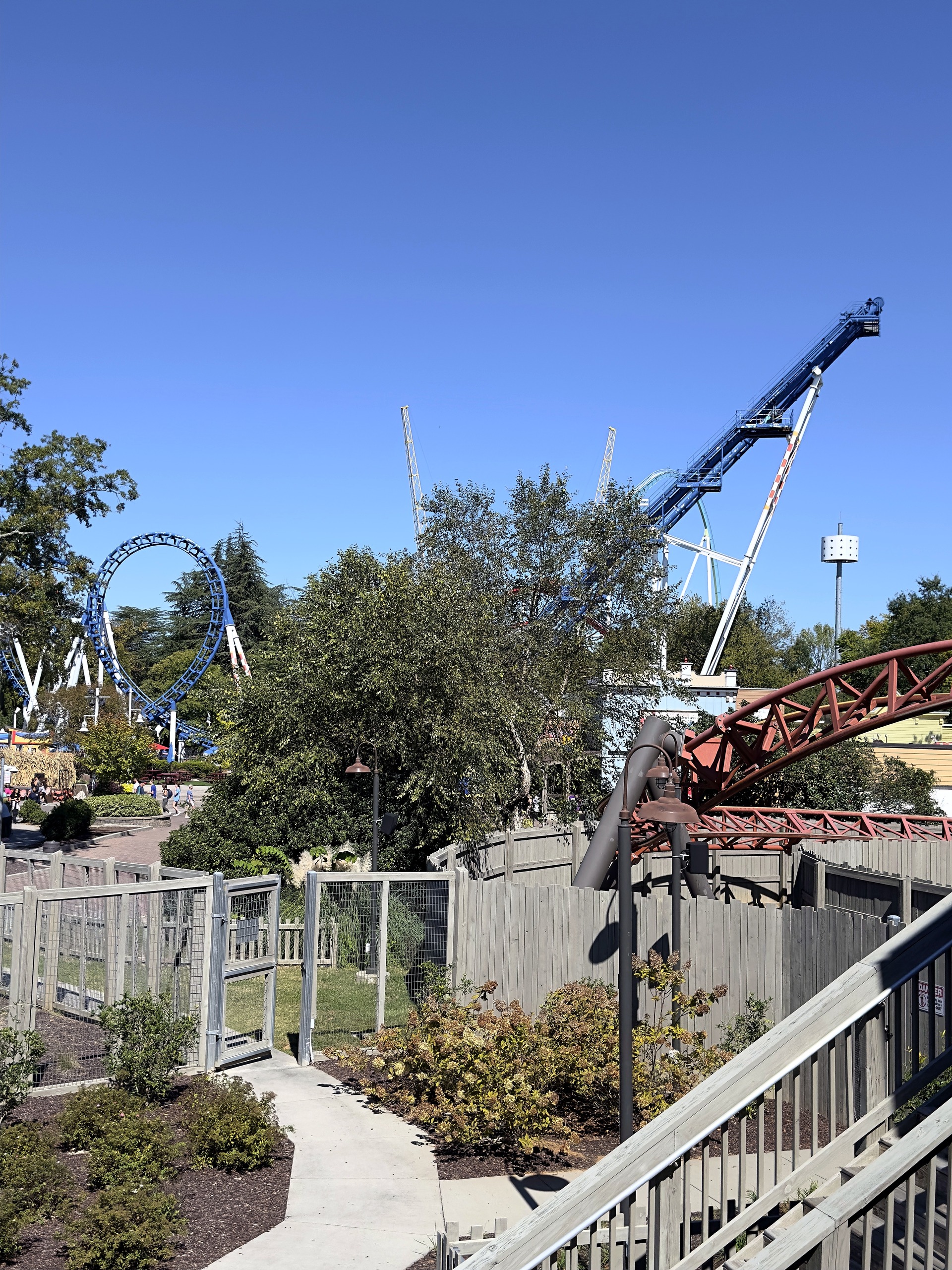 The Flying Cobras' blue track and Copperhead Strike's copper track over the garden path at Carowinds, October 2024
