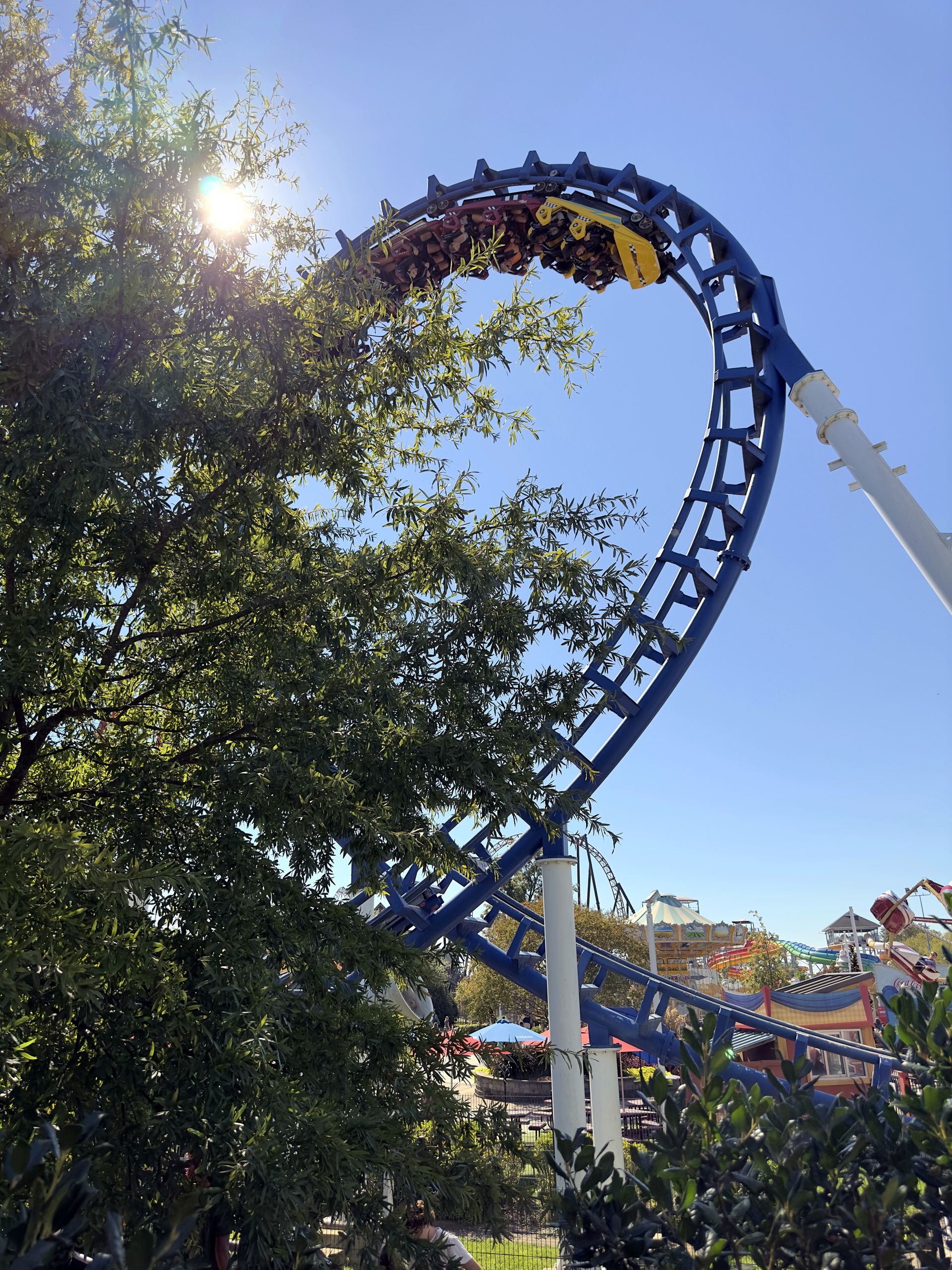 A Flying Cobras train in the cobra roll, backlit by the sun at Carowinds, October 2024