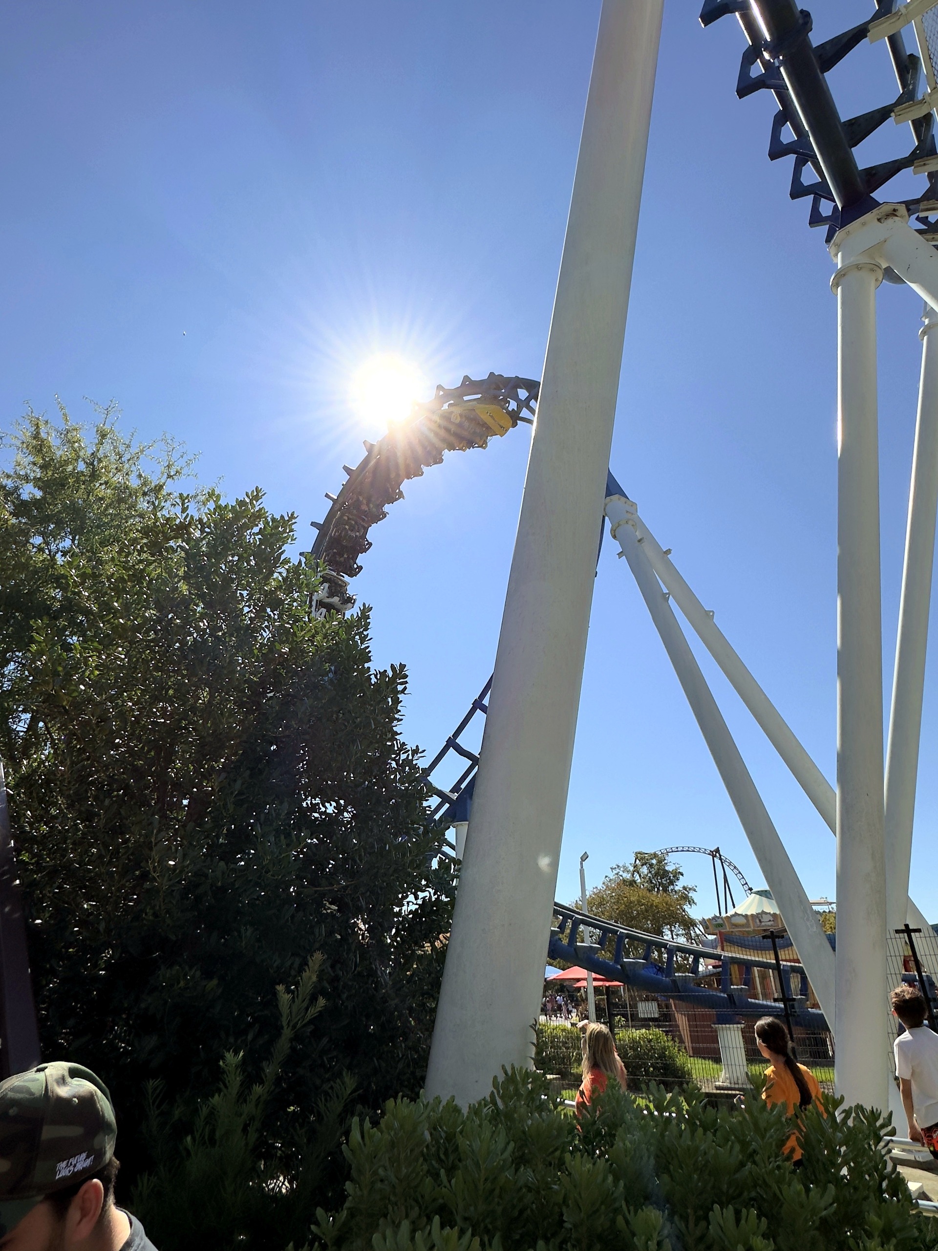 A Flying Cobras train in the cobra roll against the sun at Carowinds, October 2024