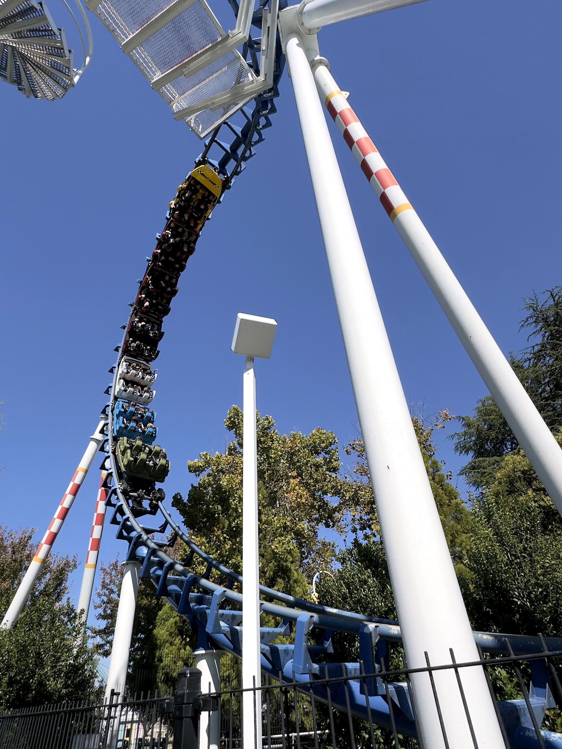 A Flying Cobras train in the vertical loop between striped white supports at Carowinds, October 2024